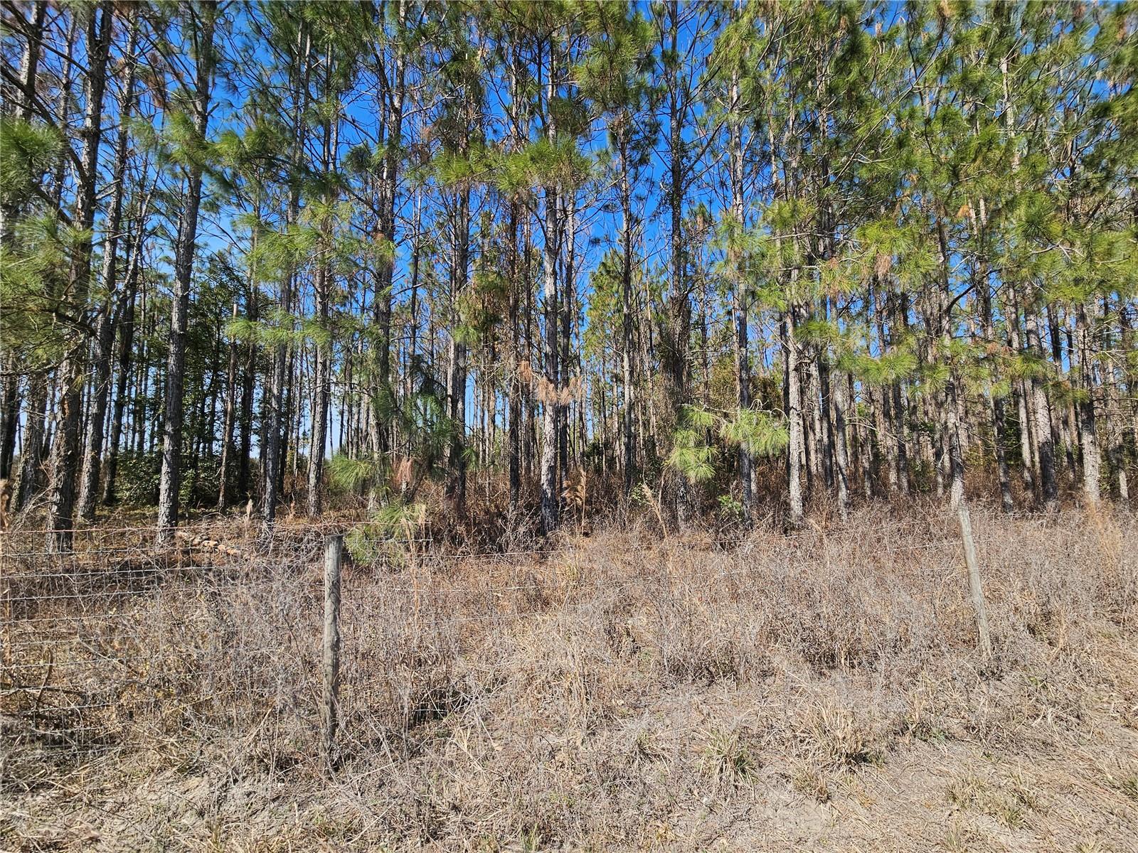 TB8475916 Property Photo