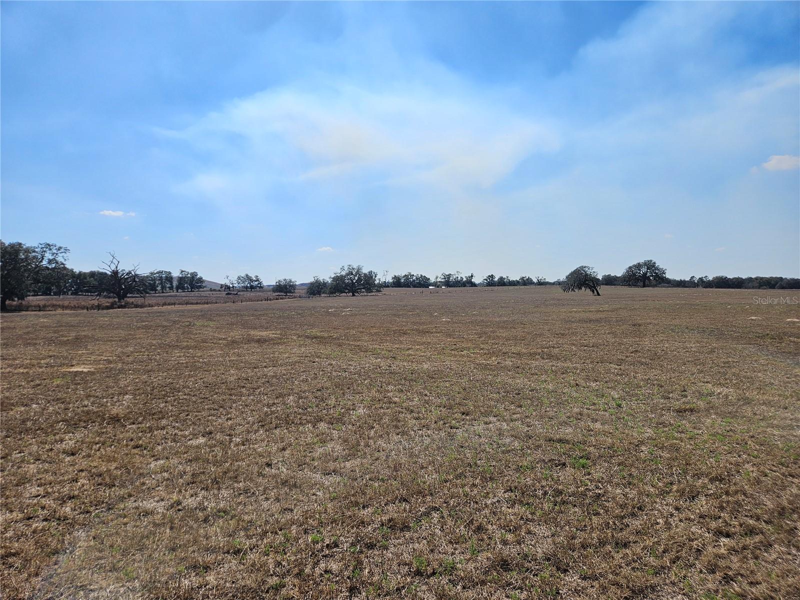 TB8475916 Property Photo