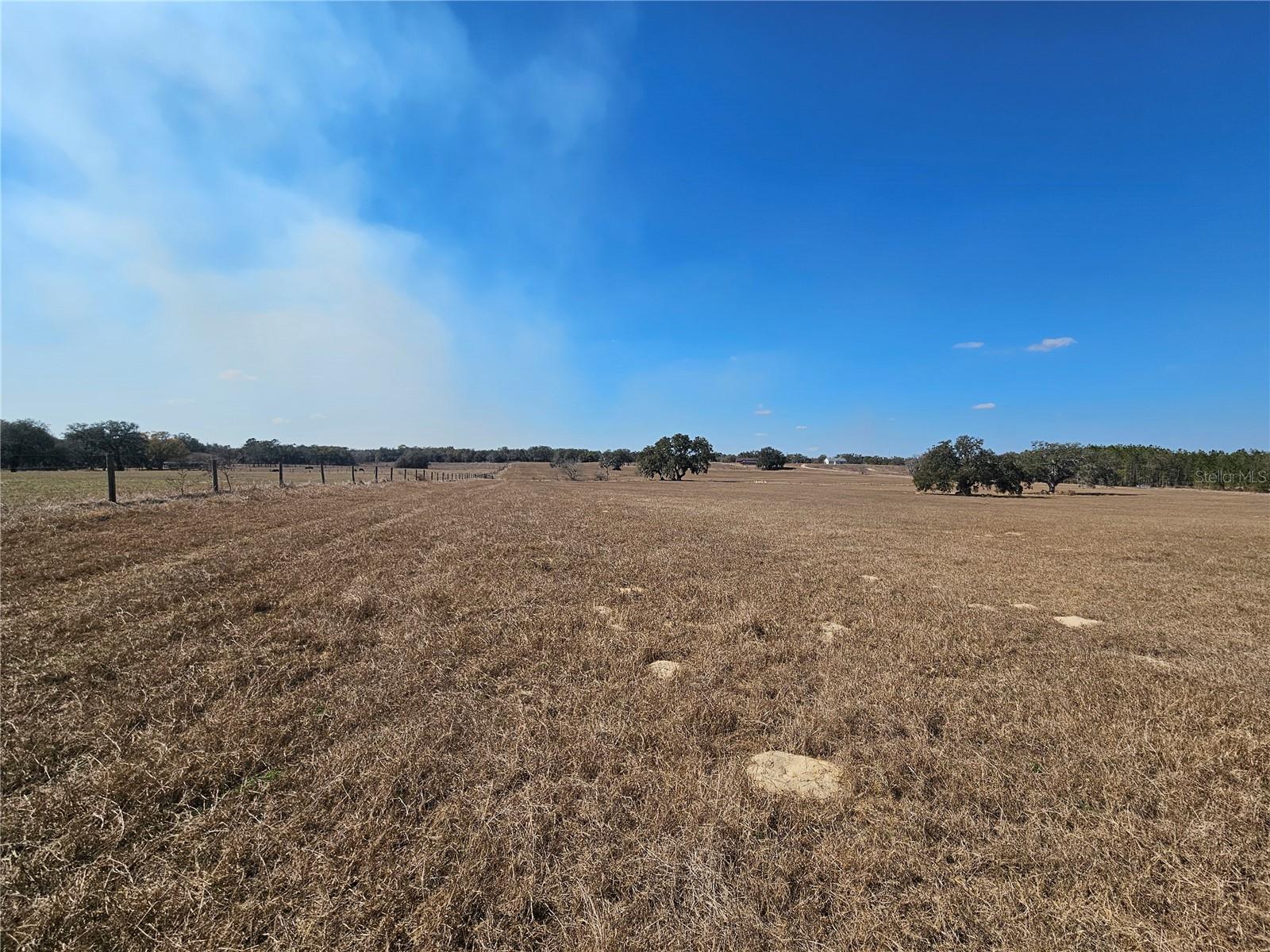 TB8475916 Property Photo