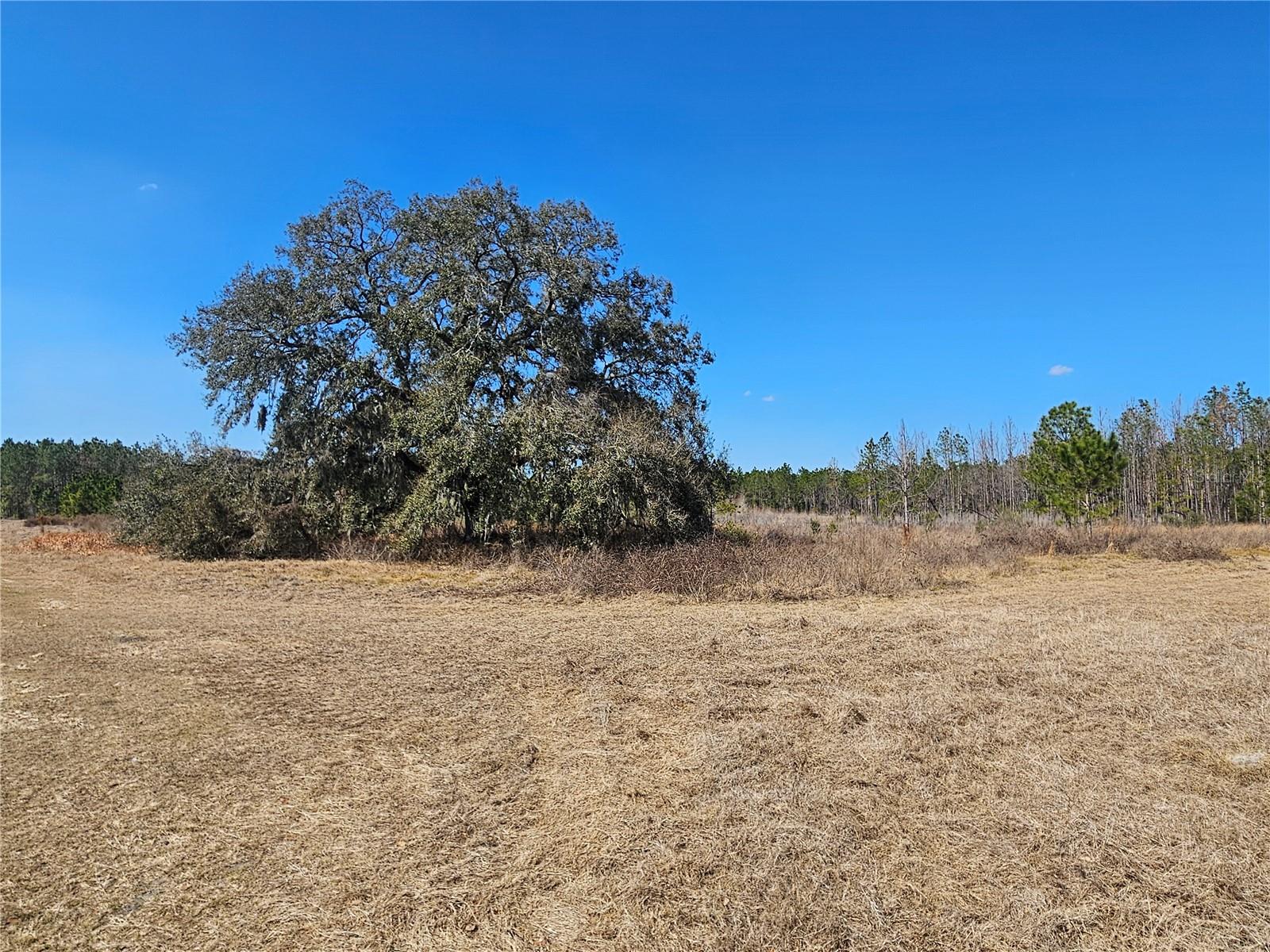 TB8475916 Property Photo