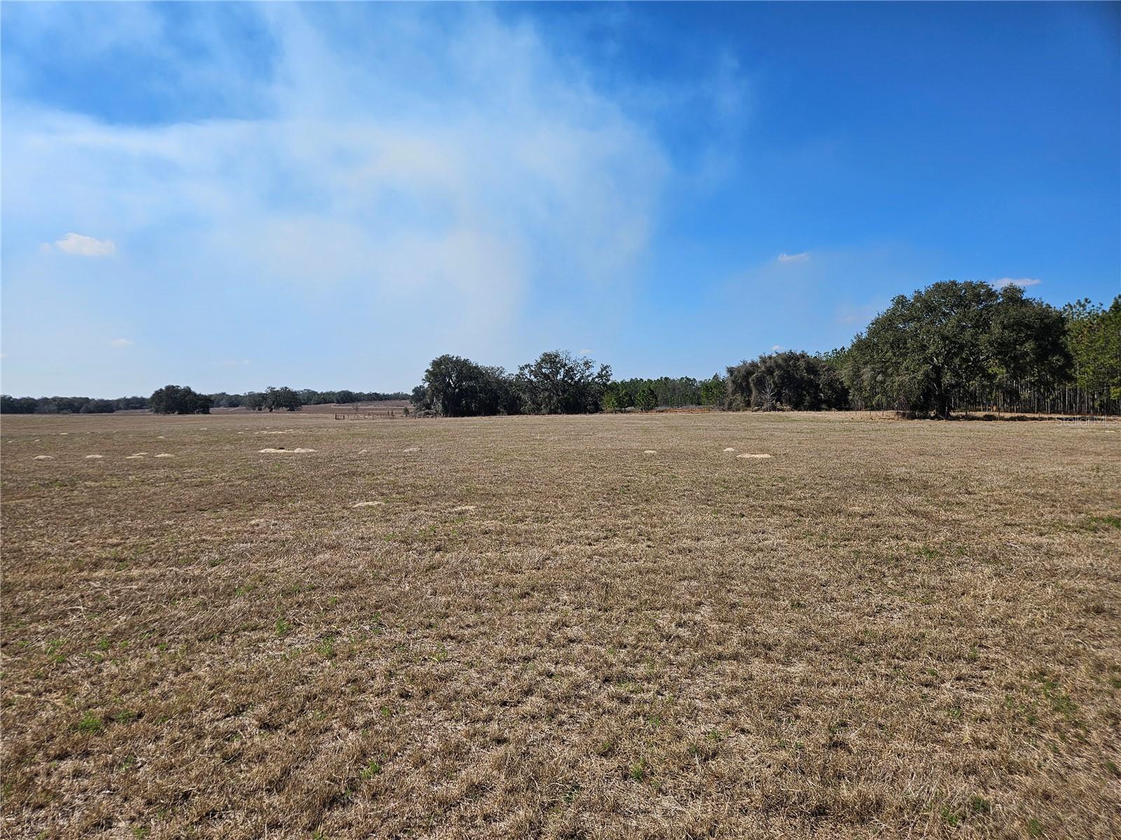 TB8475916 Property Photo