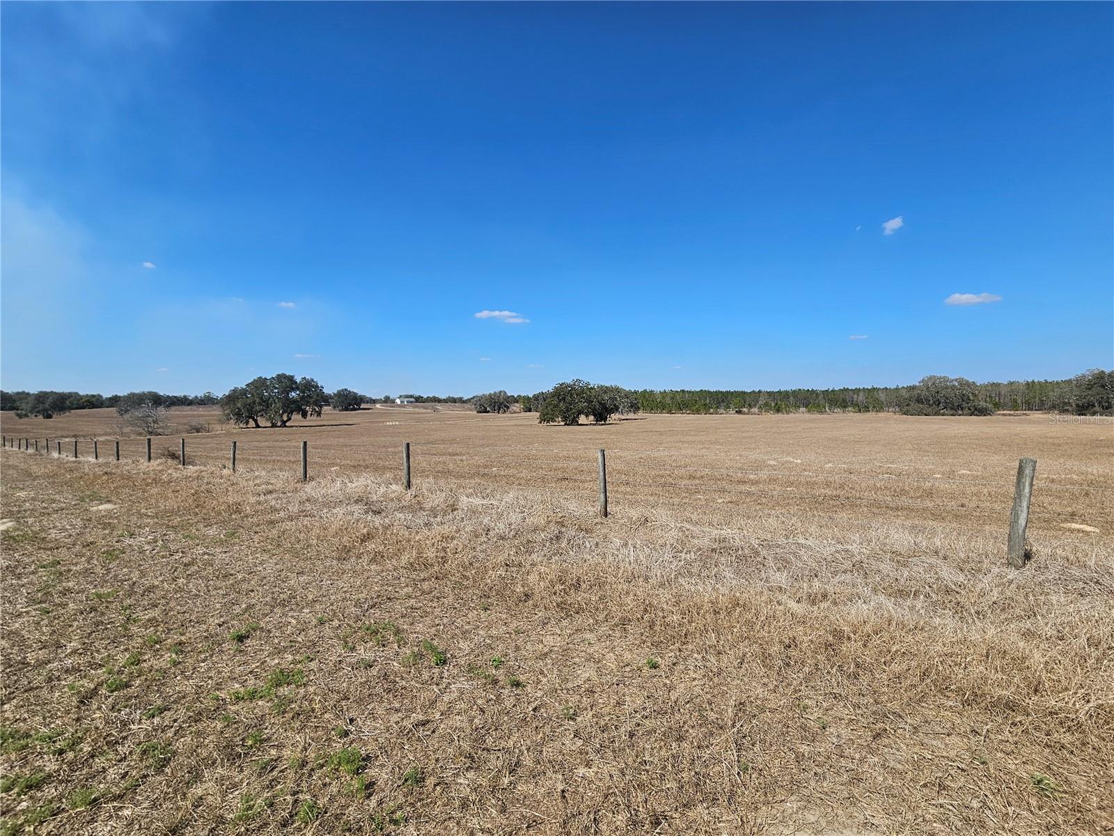 TB8475916 Property Photo