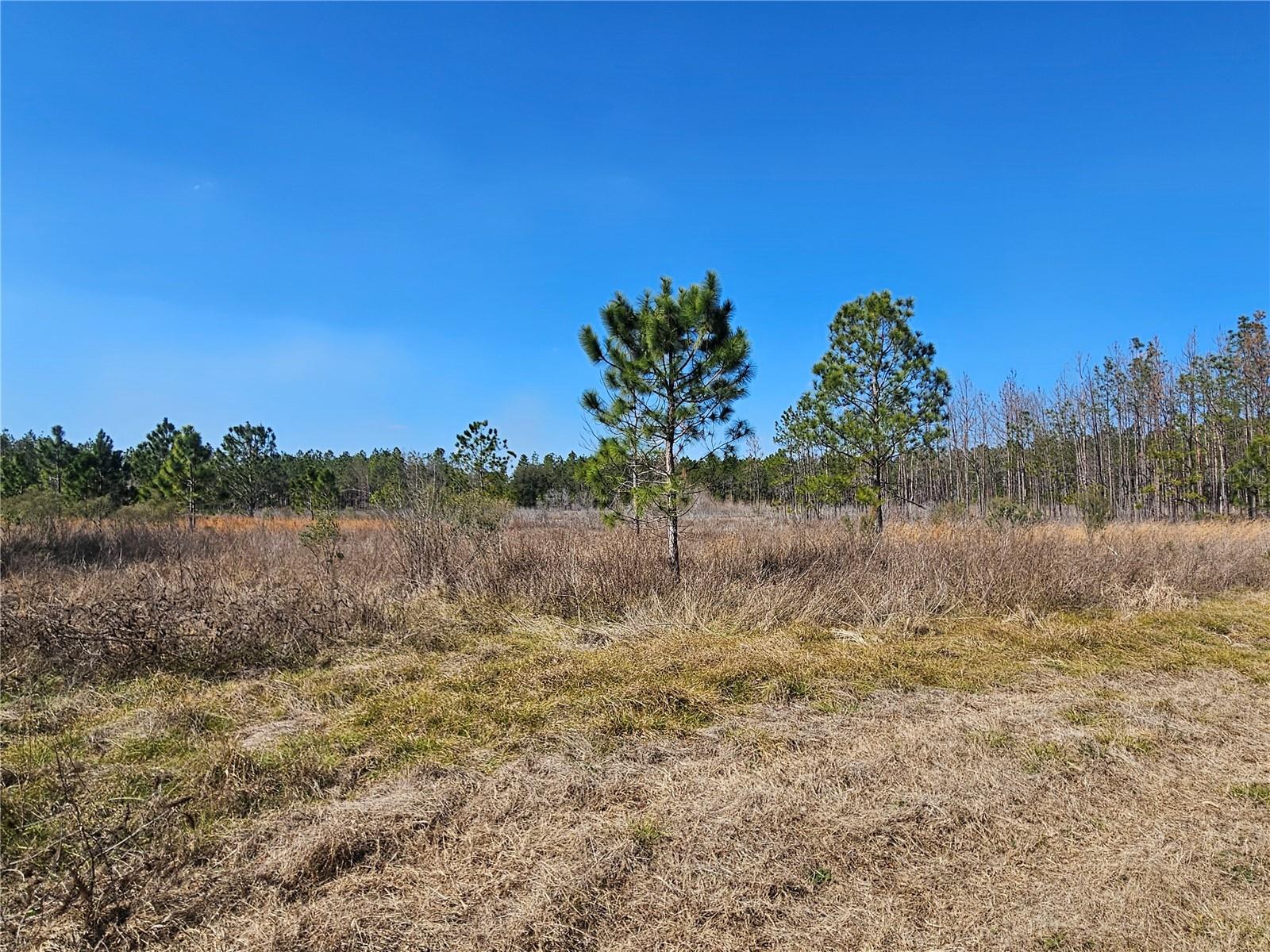 TB8475916 Property Photo