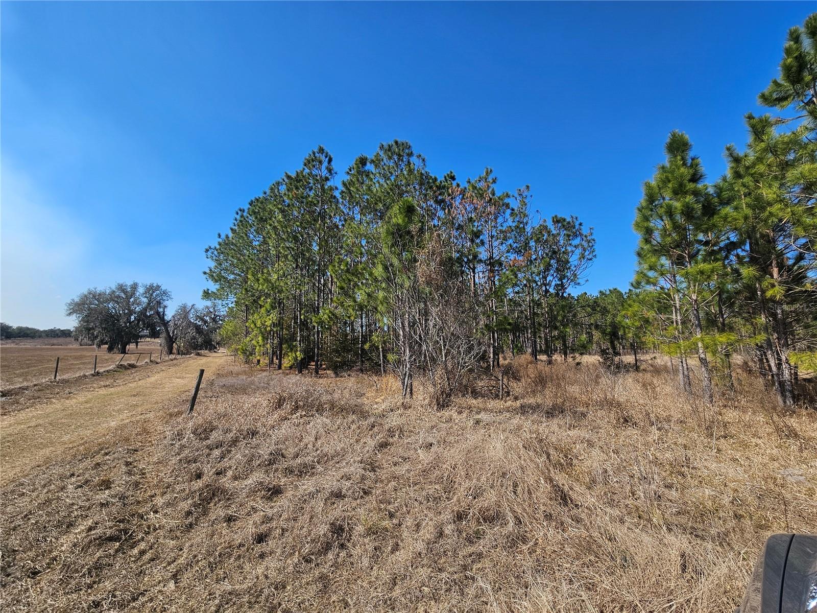 TB8475916 Property Photo