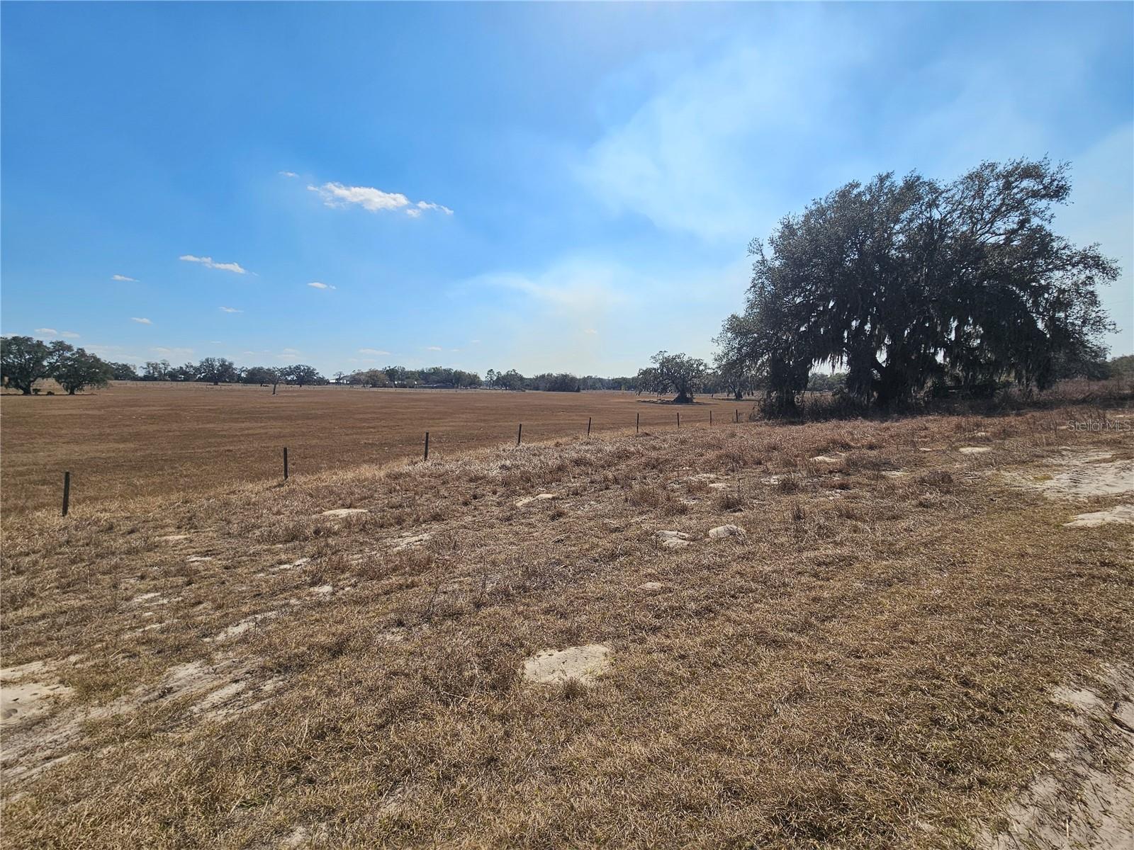 TB8475916 Property Photo