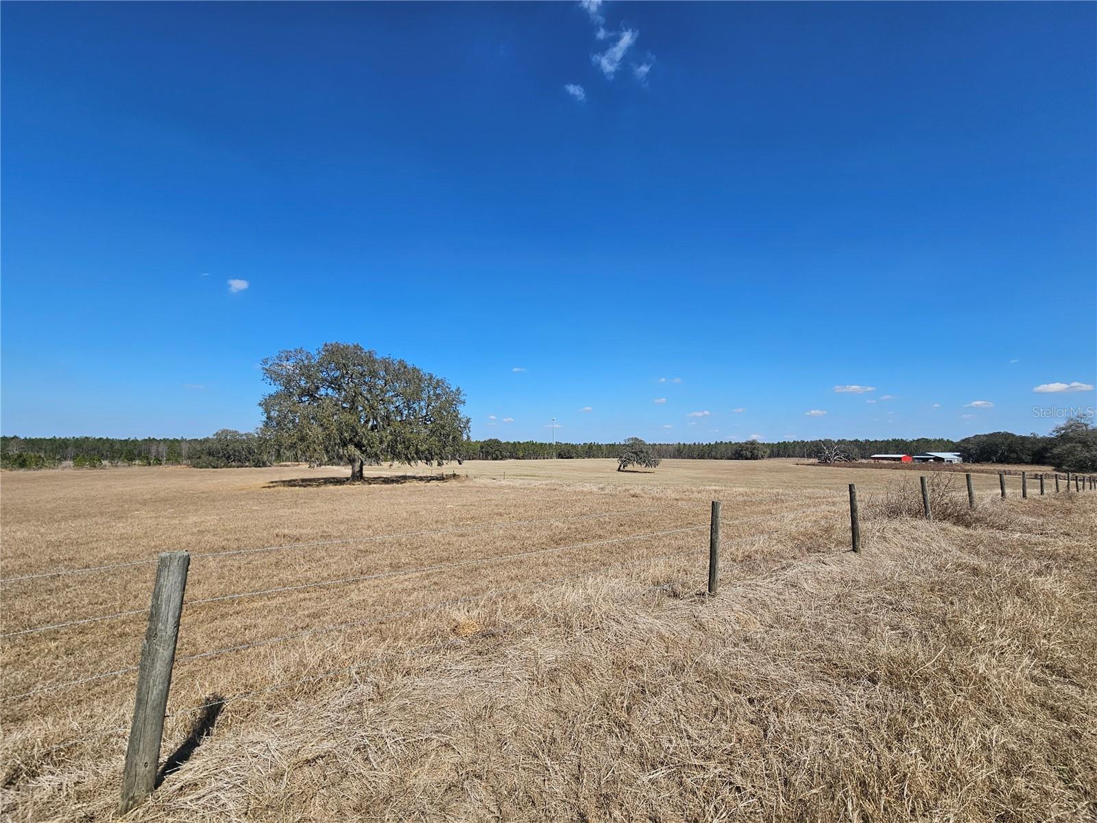 TB8475916 Property Photo