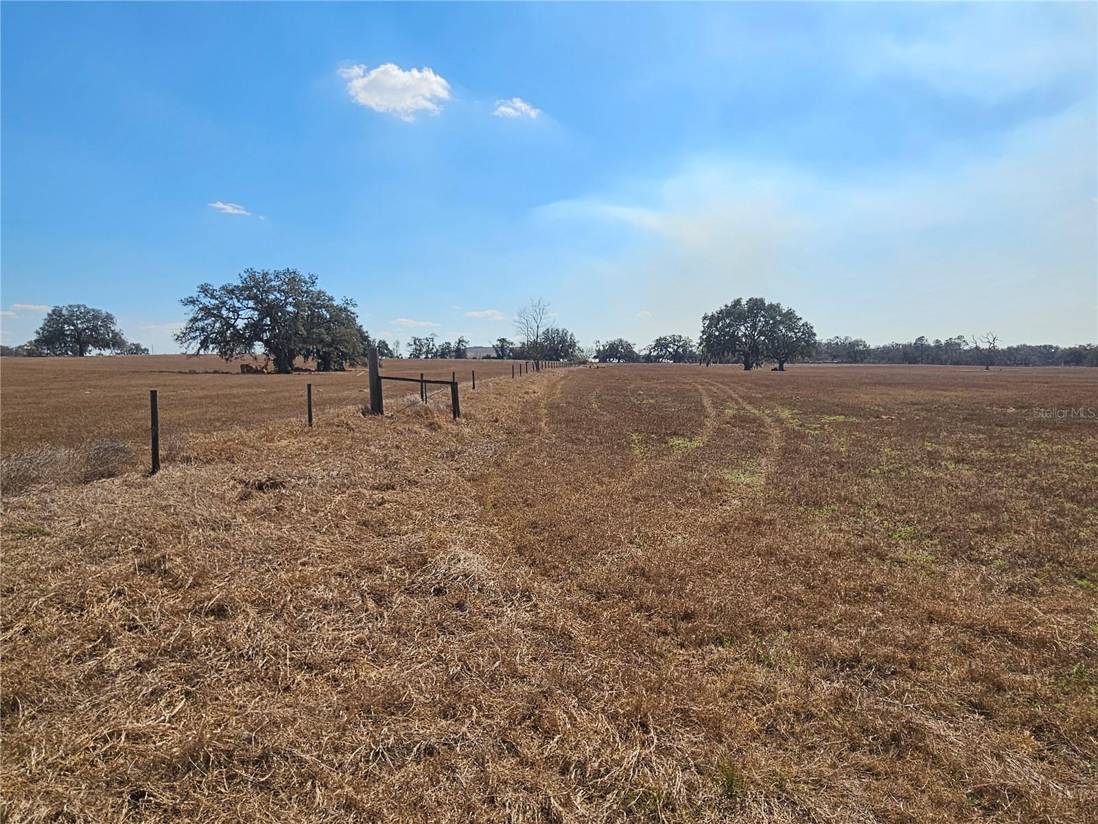 TB8475916 Property Photo