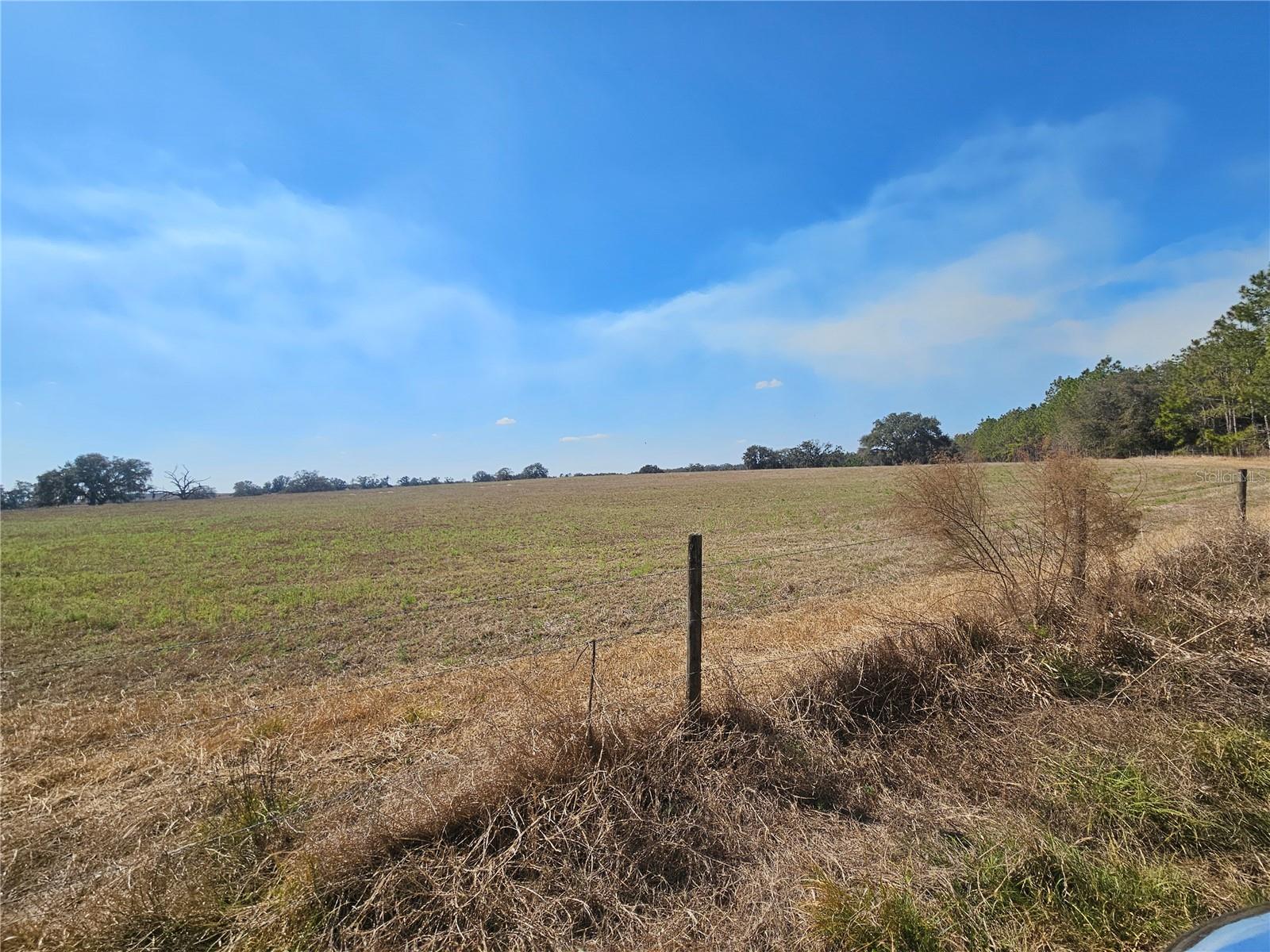 TB8475916 Property Photo