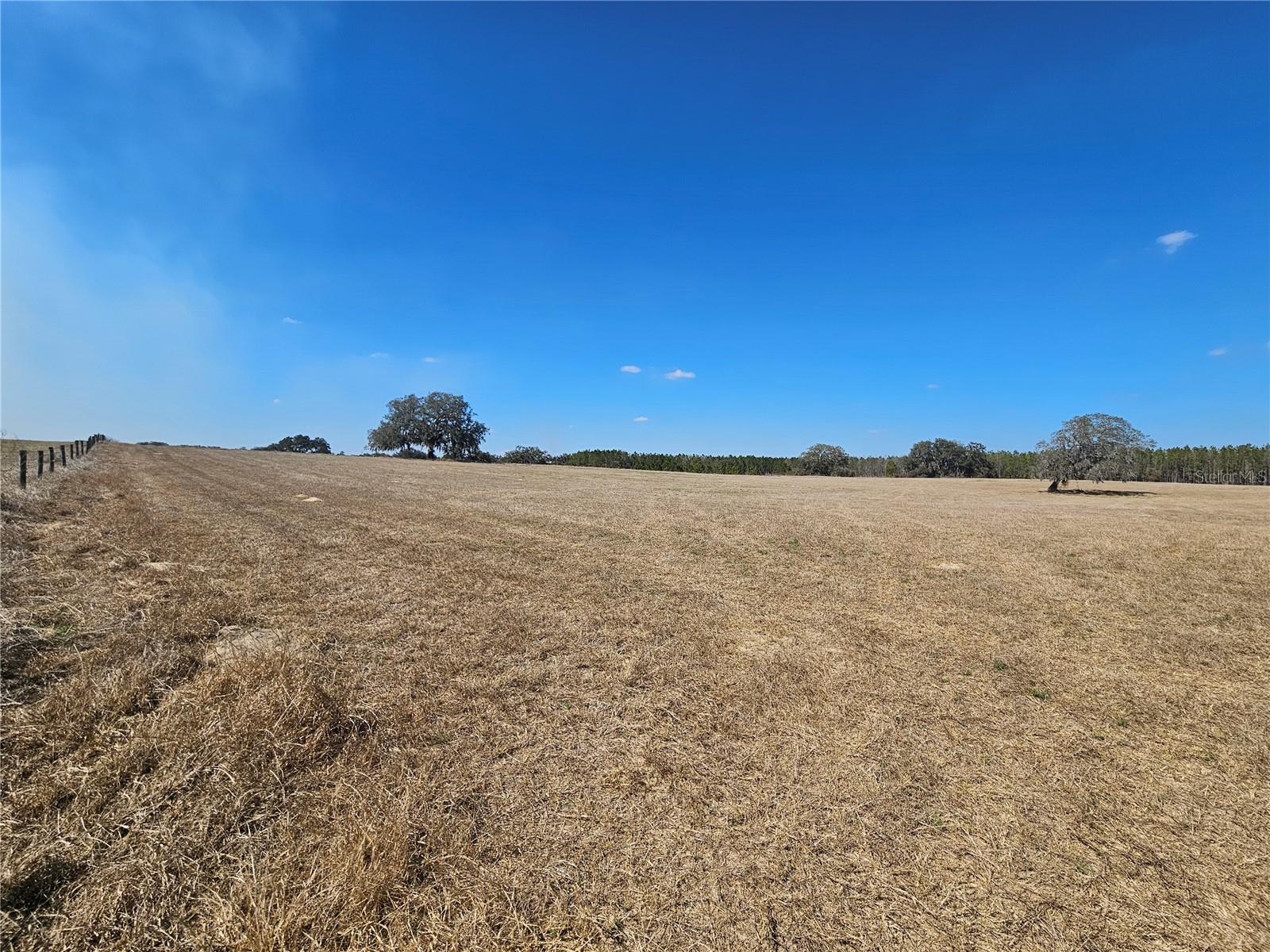 TB8475916 Property Photo