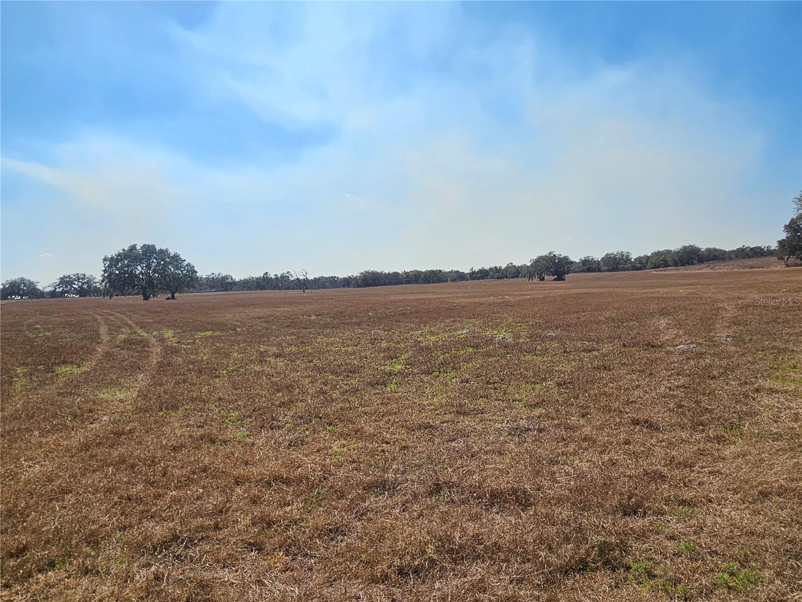 TB8475916 Property Photo