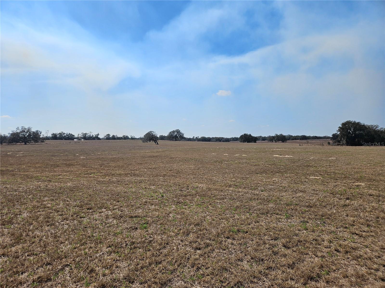 TB8475916 Property Photo