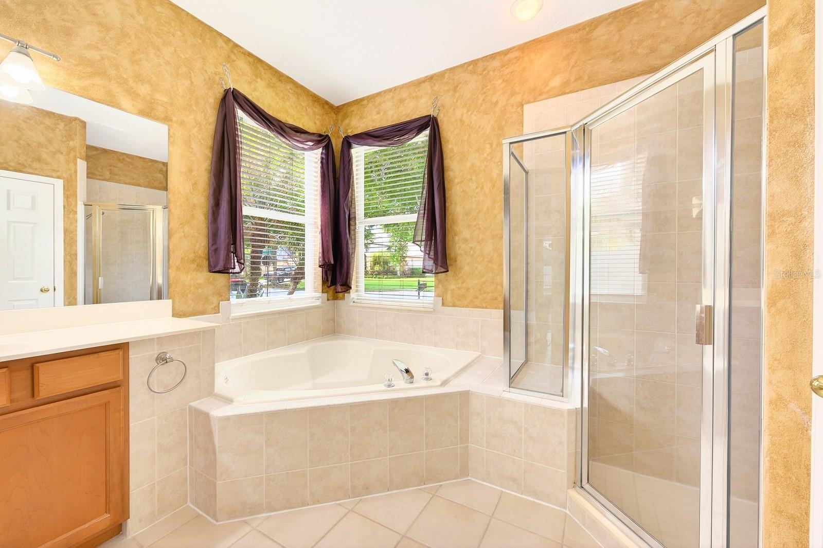 3965 EMERALD ESTATES CIR, APOPKA, FL, 32703
