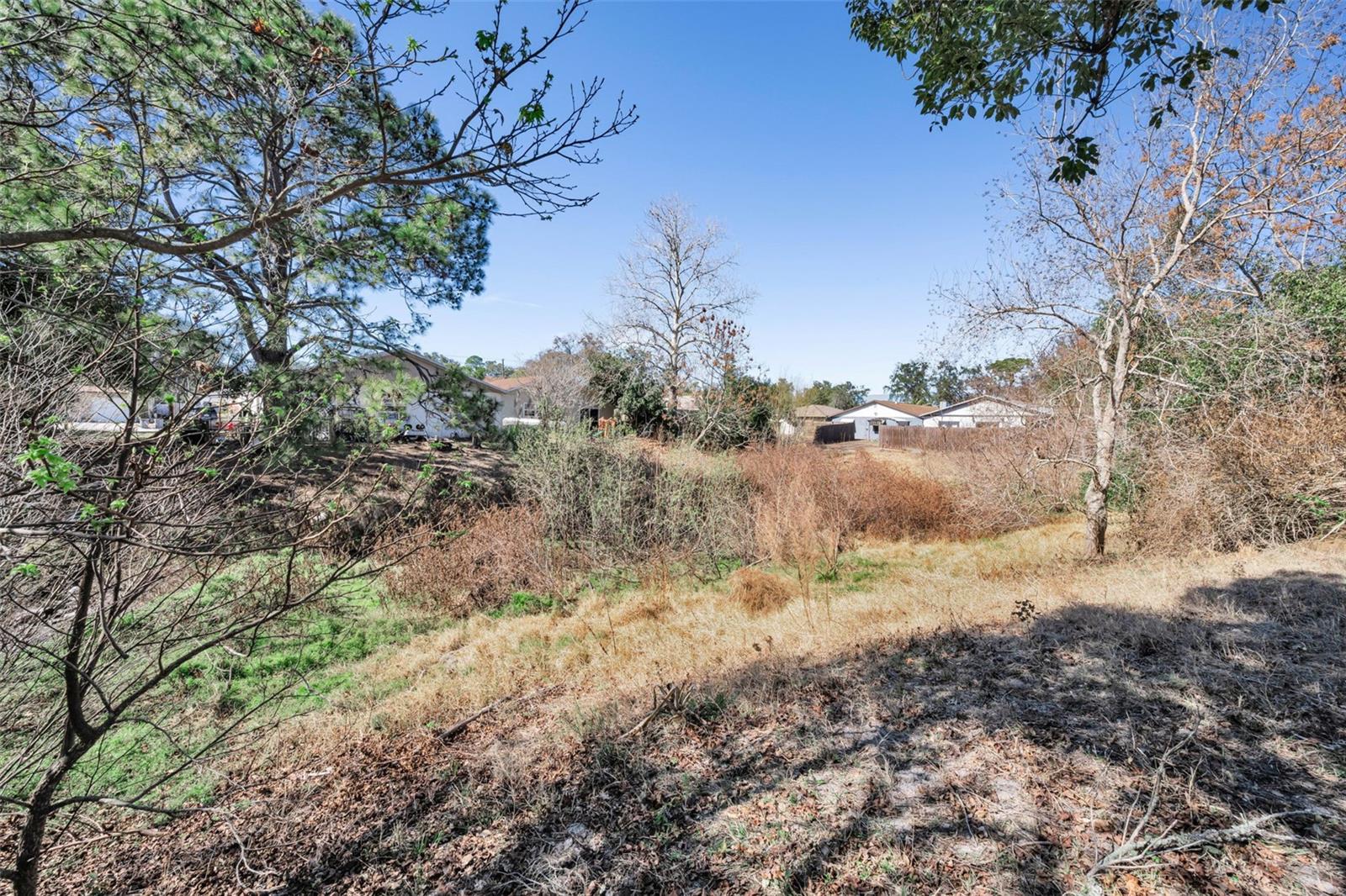 This is the private ravine & view that is behind the property