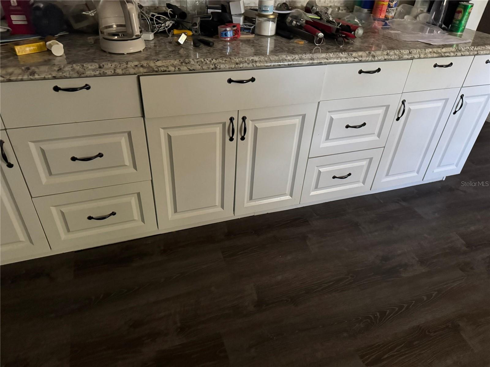 19910 LONGLEAF DR, LUTZ, FL, 33548