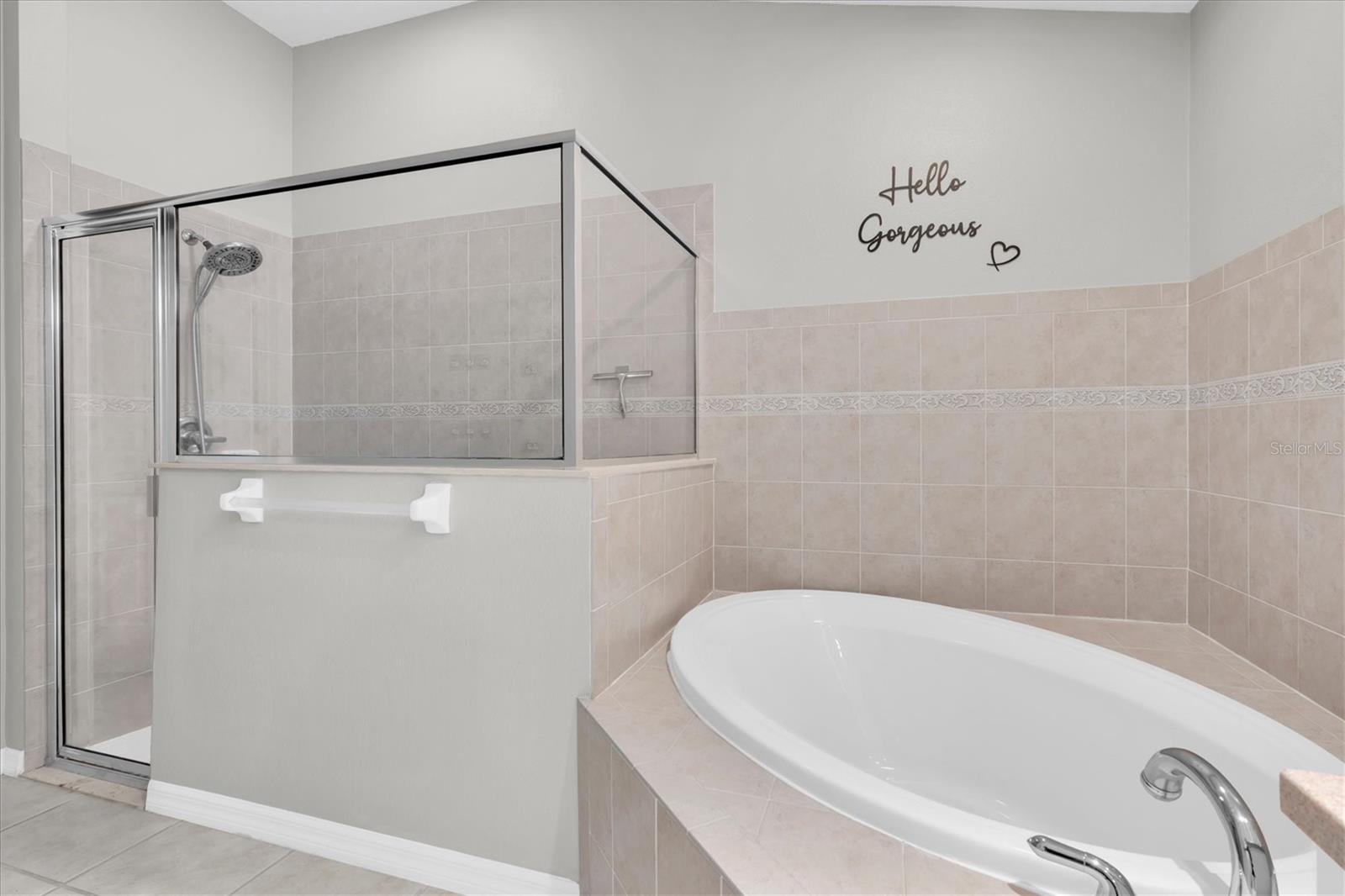 16314 BRIDGEGLADE LN, LITHIA, FL, 33547