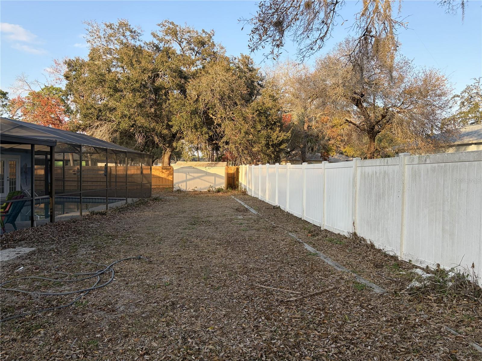 Backyard with storage shed