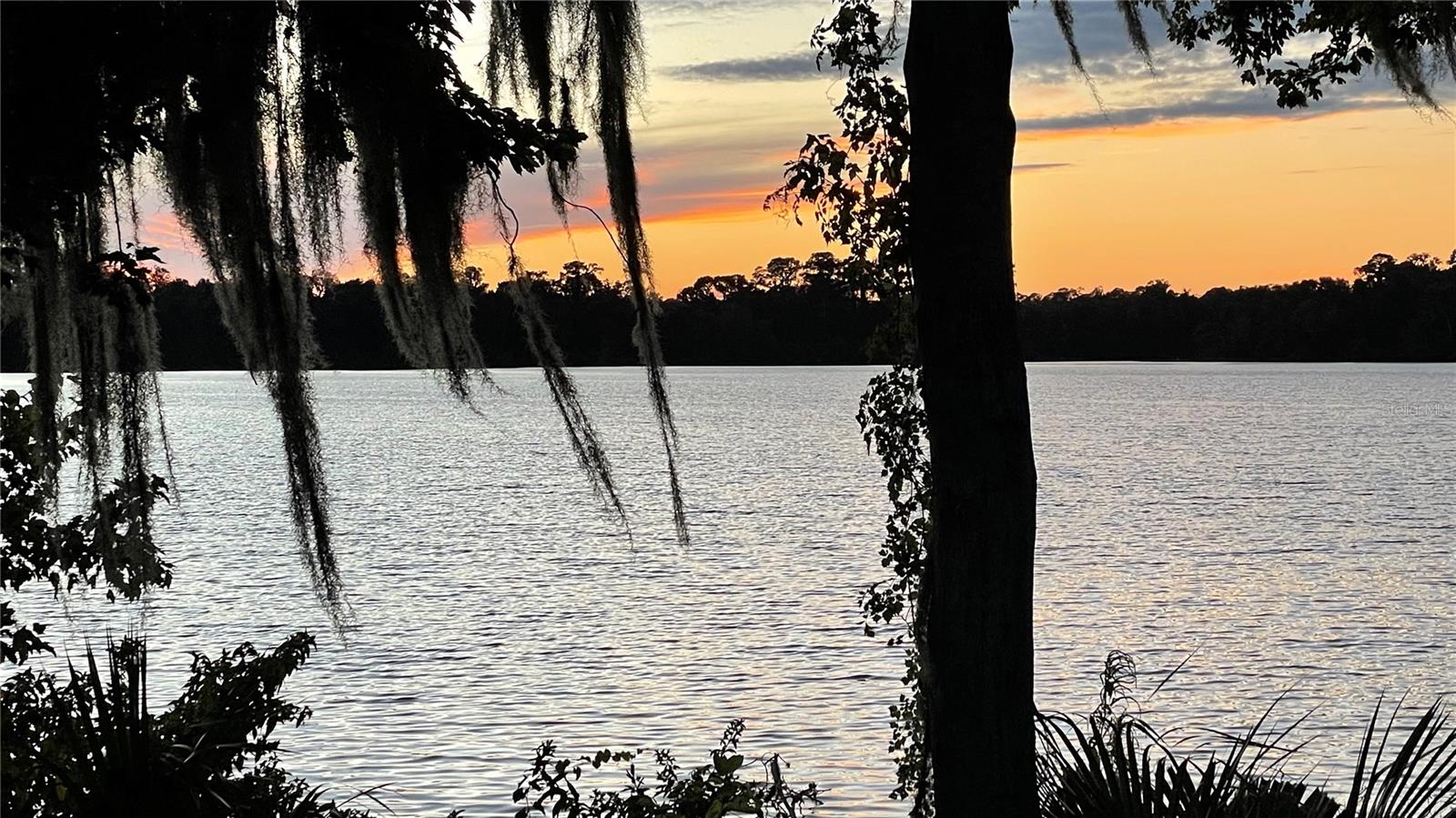 2708 SW 14TH DR #220, GAINESVILLE, FL, 32608
