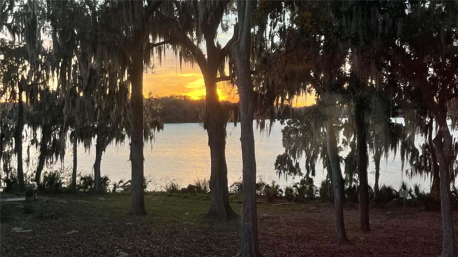 2708 SW 14TH DR #220, GAINESVILLE, FL, 32608