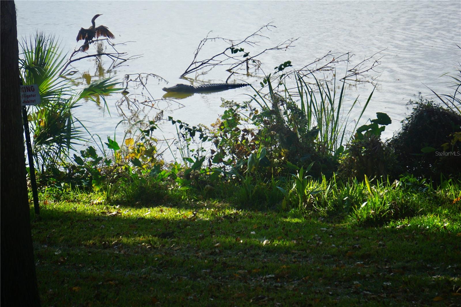 2708 SW 14TH DR #220, GAINESVILLE, FL, 32608