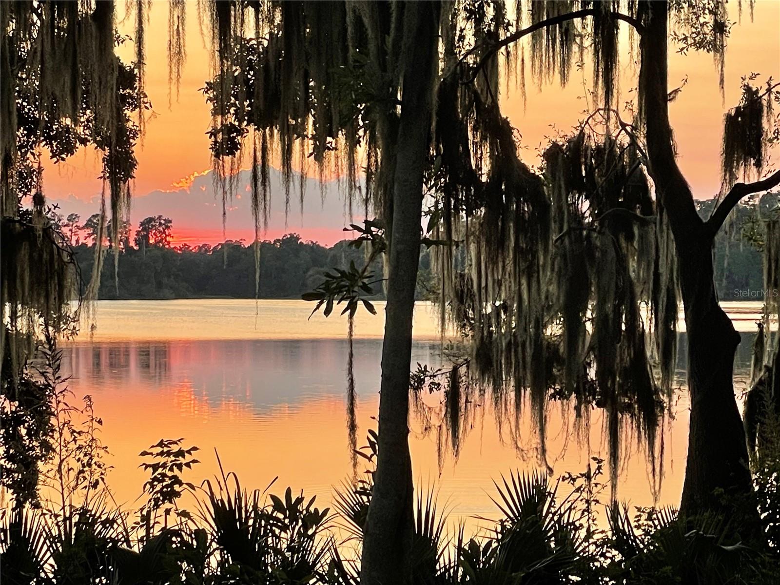 2708 SW 14TH DR #220, GAINESVILLE, FL, 32608