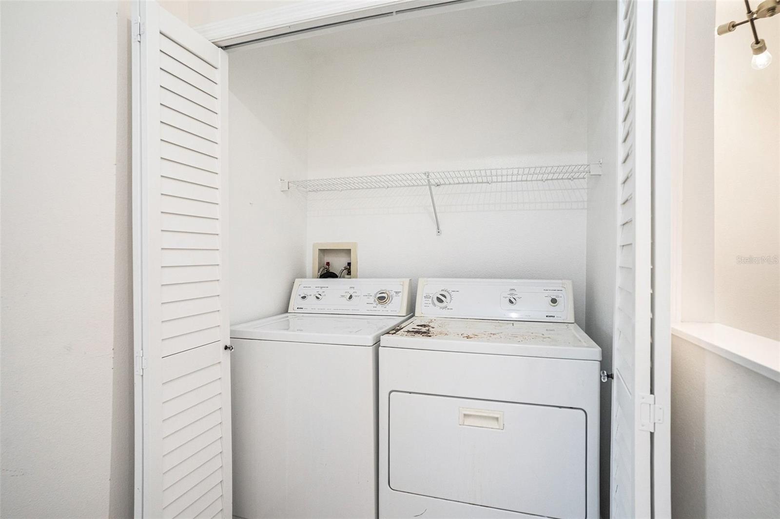 10110 BELLEVILLE PL, TAMPA, FL, 33624