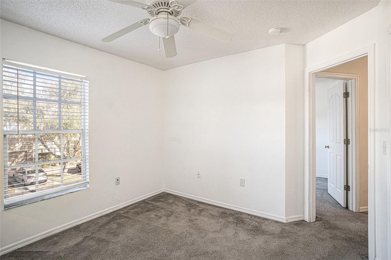 10110 BELLEVILLE PL, TAMPA, FL, 33624