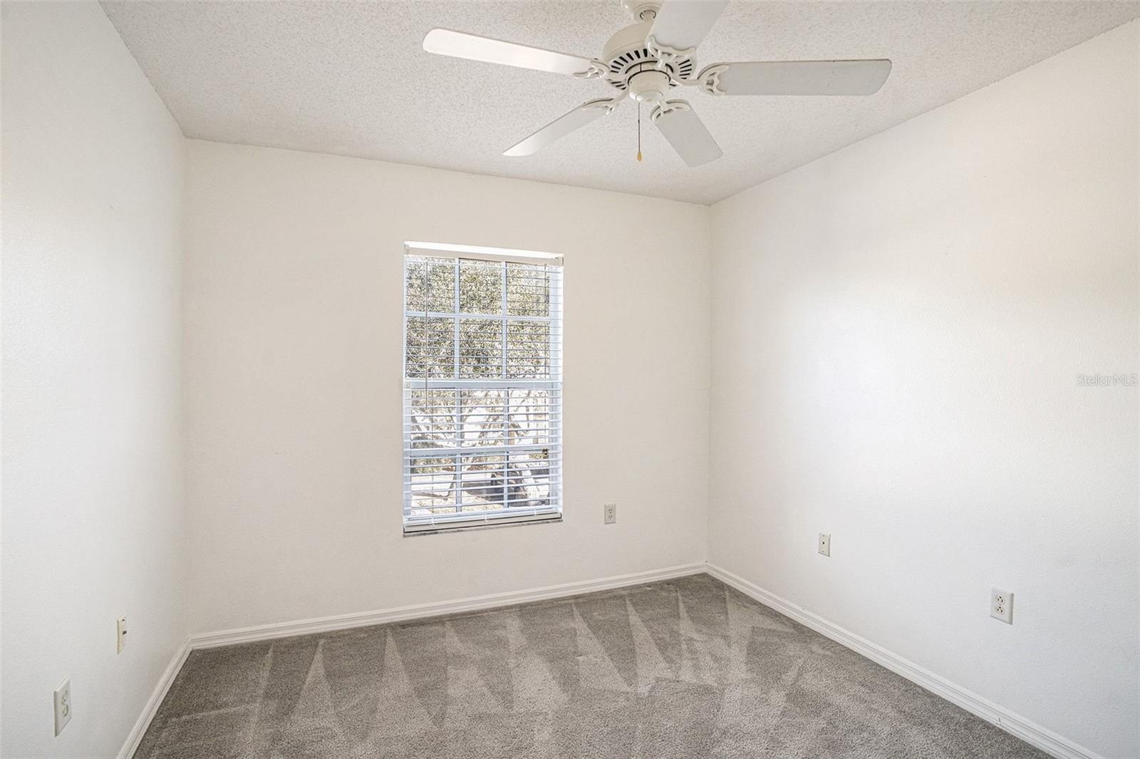 10110 BELLEVILLE PL, TAMPA, FL, 33624