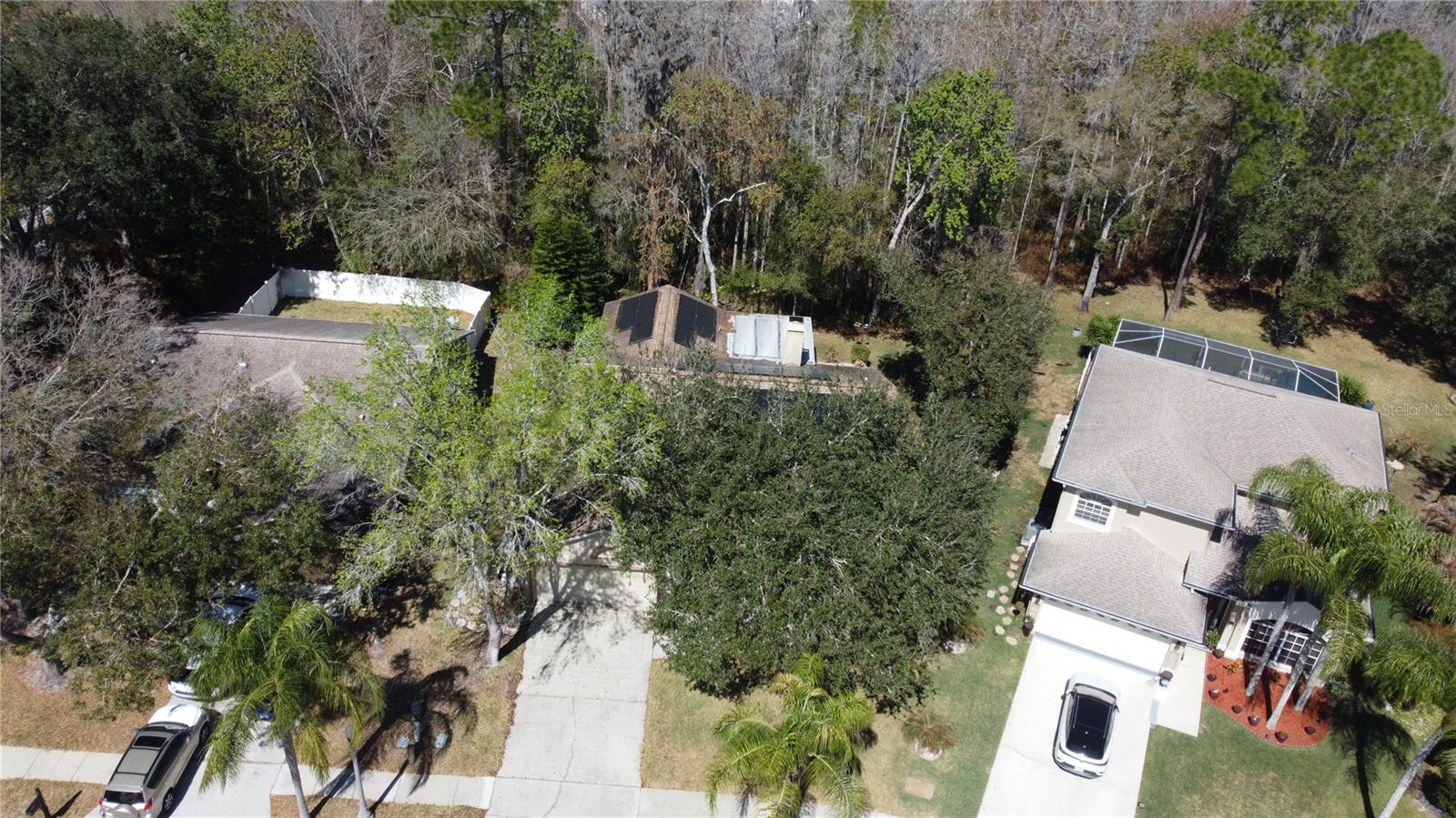 1795 BAYHILL DR, OLDSMAR, FL, 34677