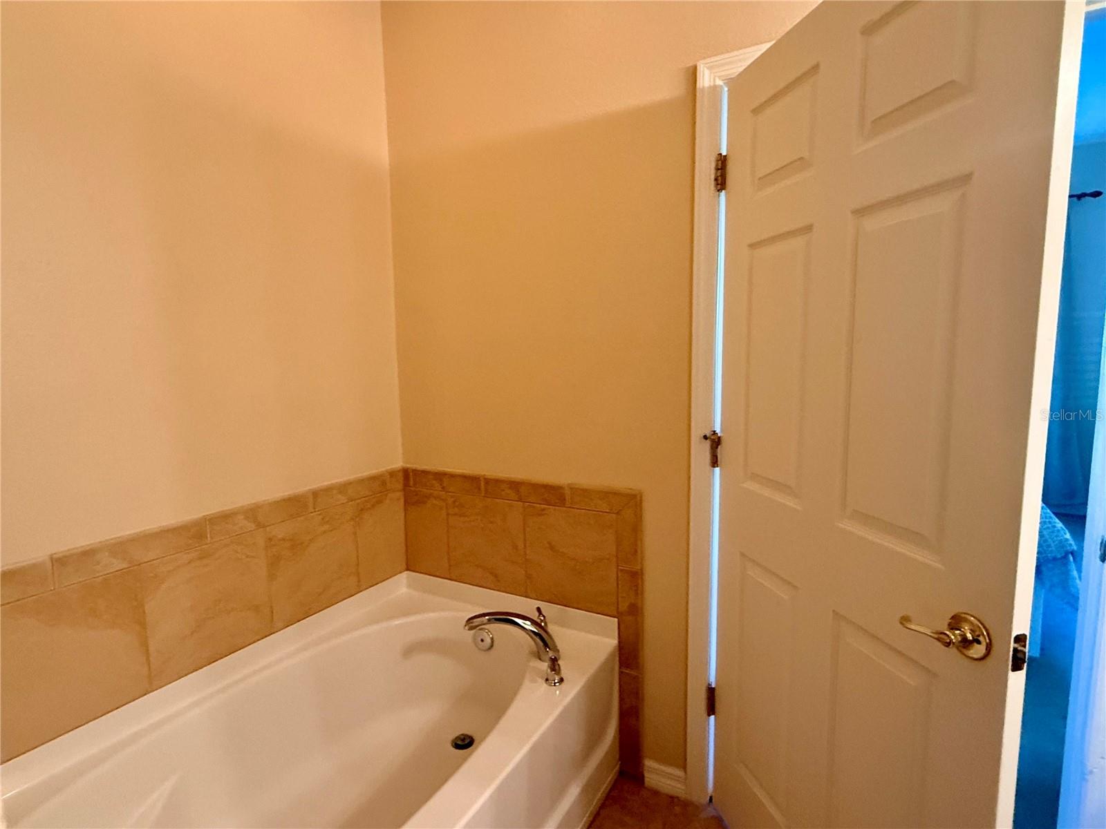 2219 PICO LN, MOUNT DORA, FL, 32757