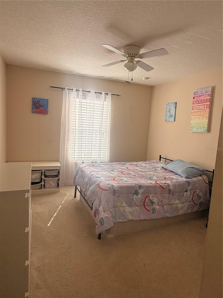 2219 PICO LN, MOUNT DORA, FL, 32757