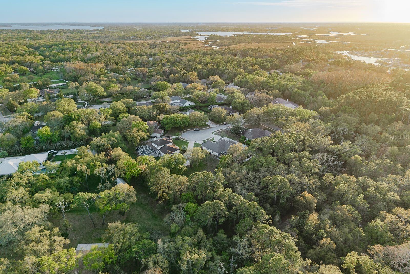 6207 CLAIRE DE LUNE CT, NEW PORT RICHEY, FL, 34655