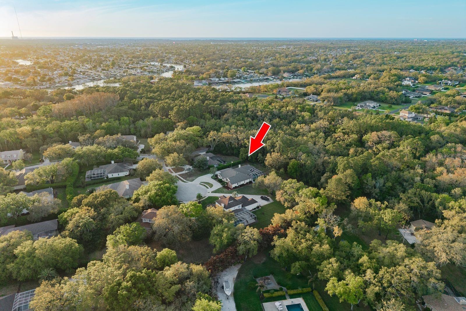 6207 CLAIRE DE LUNE CT, NEW PORT RICHEY, FL, 34655