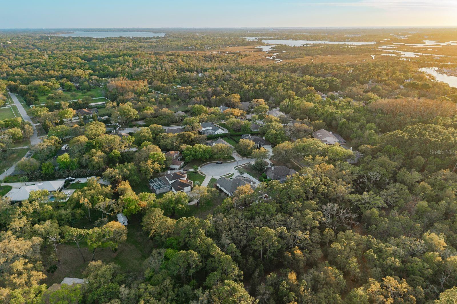 6207 CLAIRE DE LUNE CT, NEW PORT RICHEY, FL, 34655