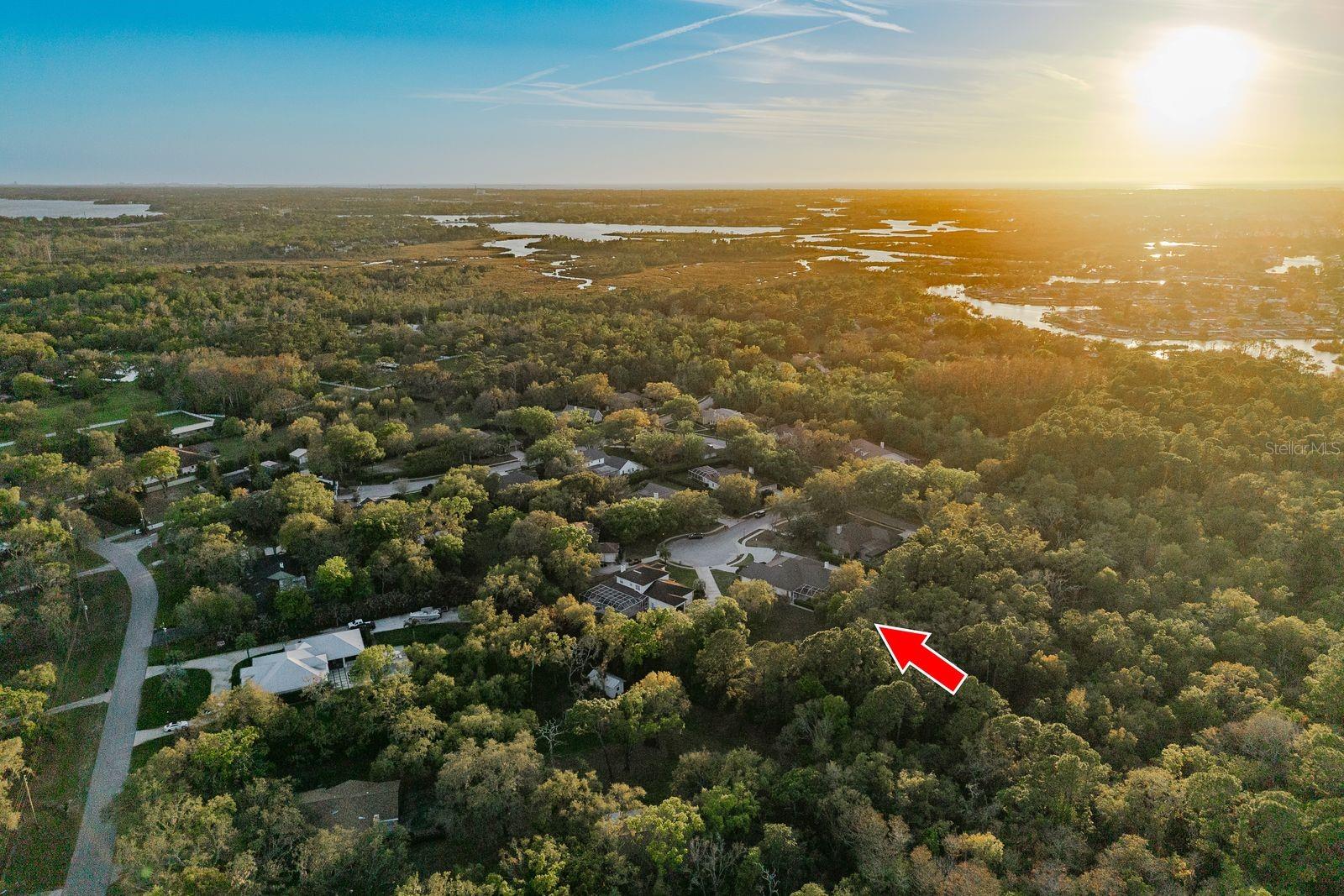 6207 CLAIRE DE LUNE CT, NEW PORT RICHEY, FL, 34655
