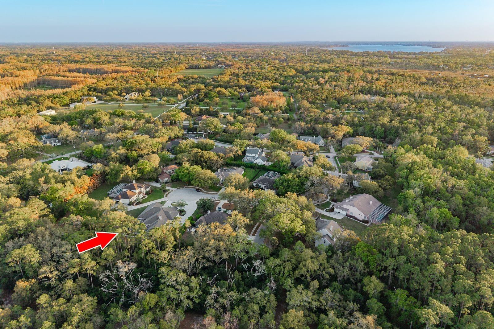 6207 CLAIRE DE LUNE CT, NEW PORT RICHEY, FL, 34655
