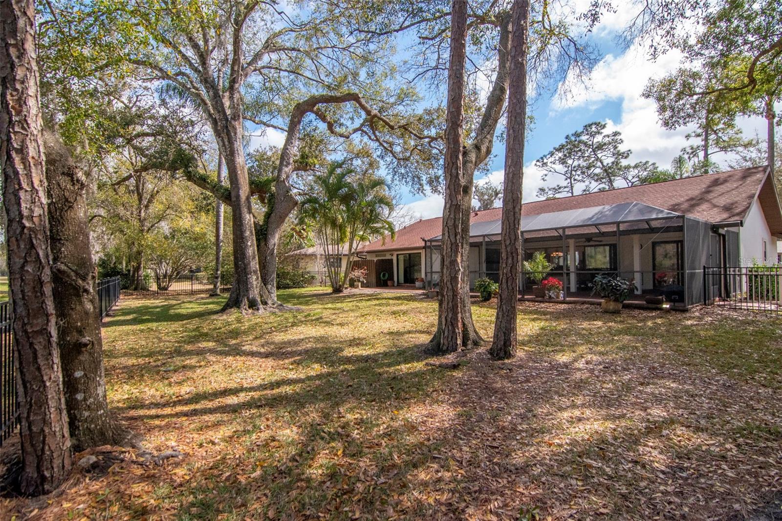 Exterior Rear/Backyard