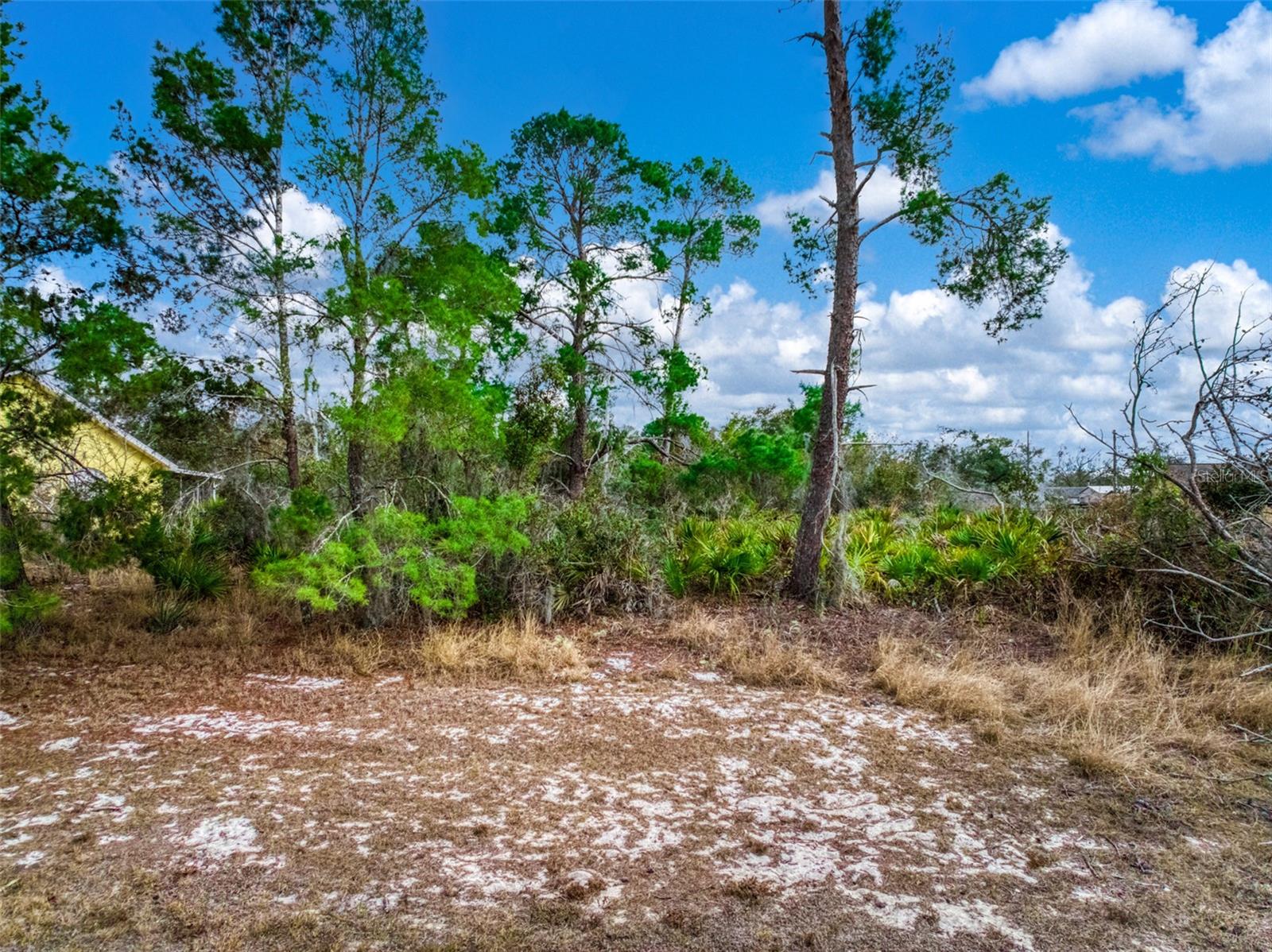 3085 W SCORALICK RD, AVON PARK, FL, 33825