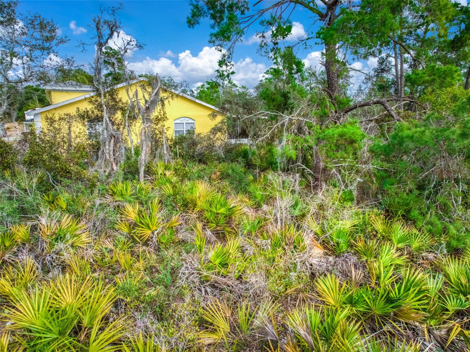 3085 W SCORALICK RD, AVON PARK, FL, 33825