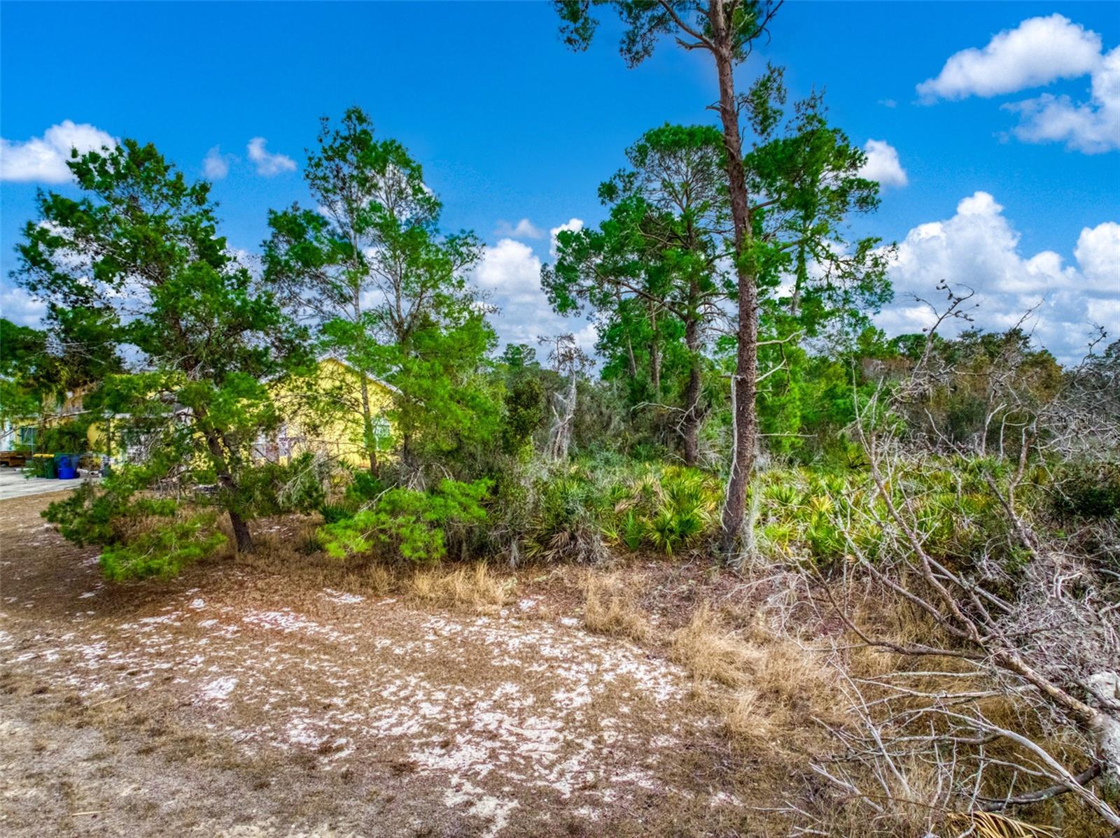 3085 W SCORALICK RD, AVON PARK, FL, 33825