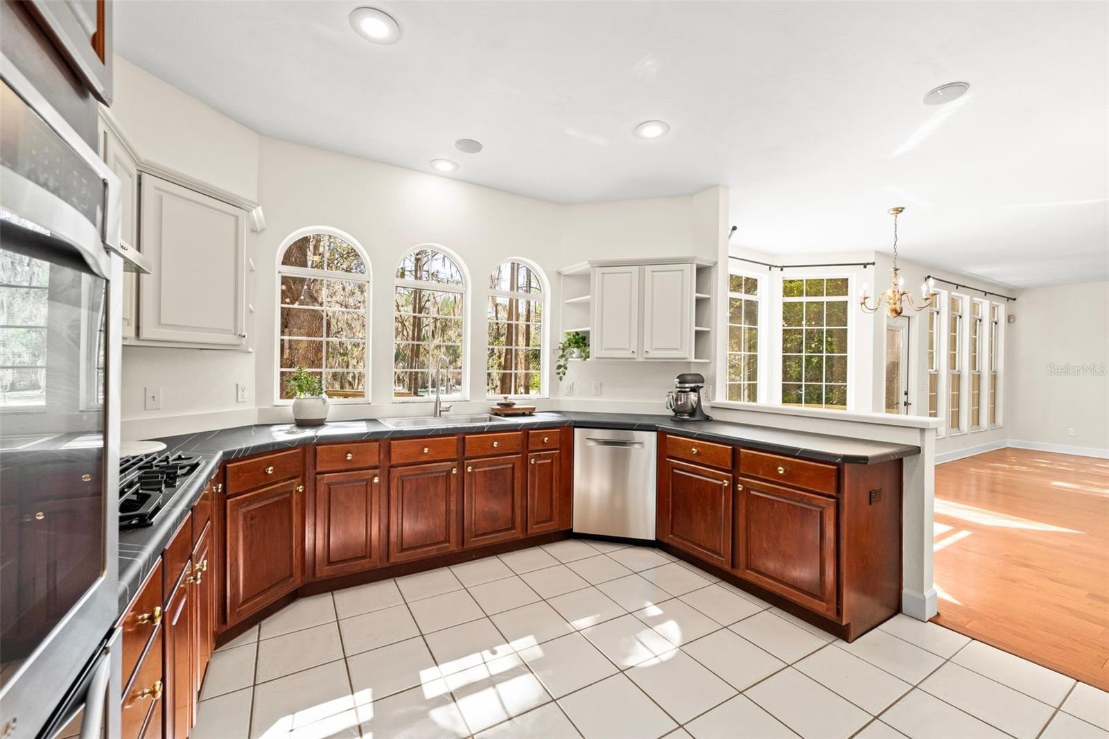3201 NW 58TH BLVD, GAINESVILLE, FL, 32606