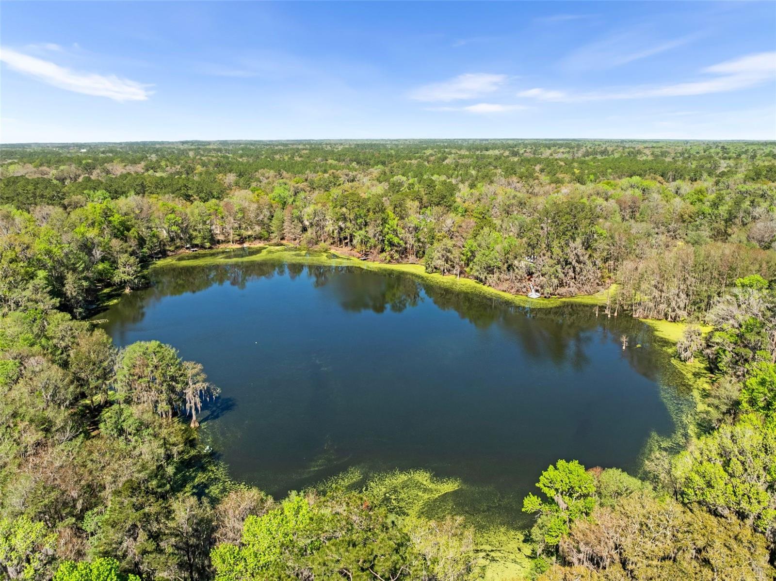 3201 NW 58TH BLVD, GAINESVILLE, FL, 32606