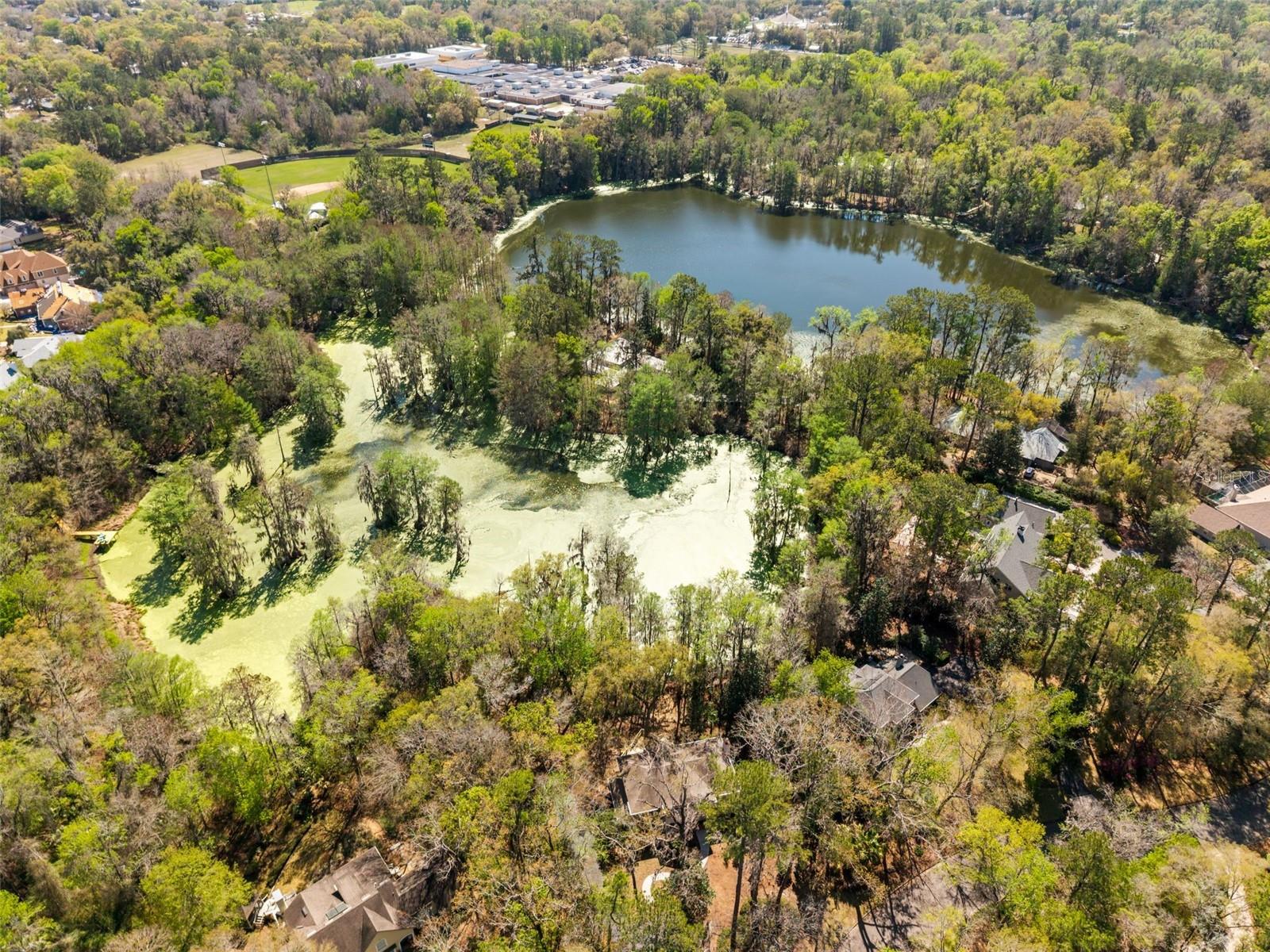 3201 NW 58TH BLVD, GAINESVILLE, FL, 32606