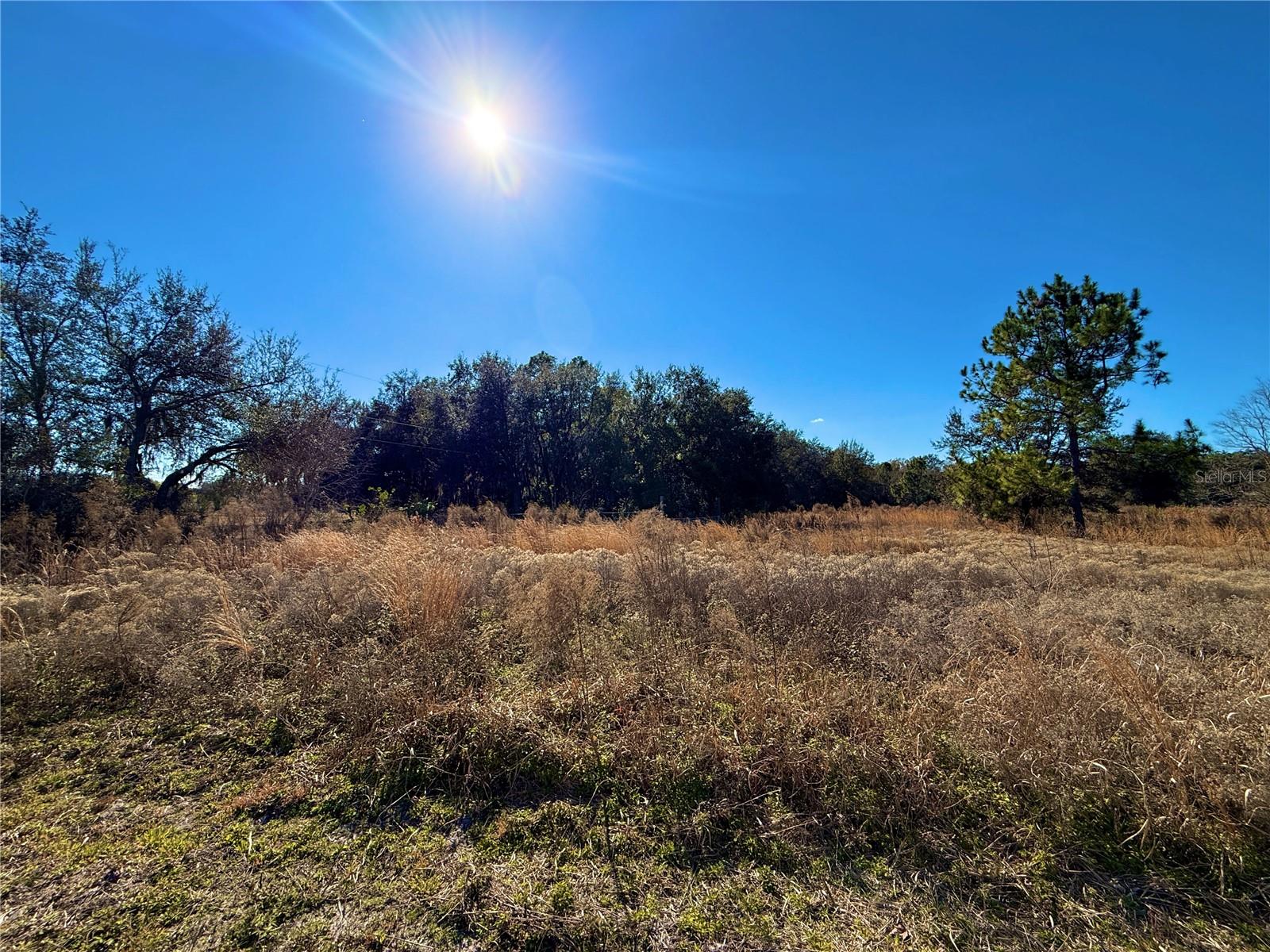 2546 & 2586 W BERESFORD AVE, DELAND, FL, 32720