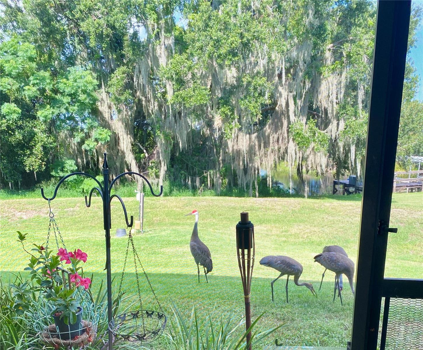 1051 GREEN GATE BLVD, GROVELAND, FL, 34736