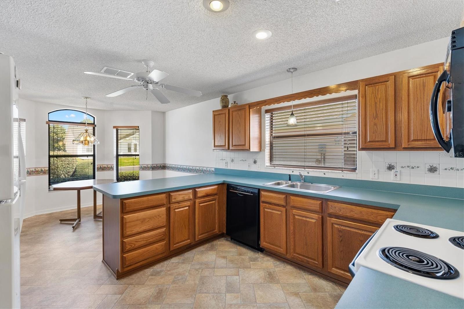 1918 ARMONDO DR, THE VILLAGES, FL, 32159