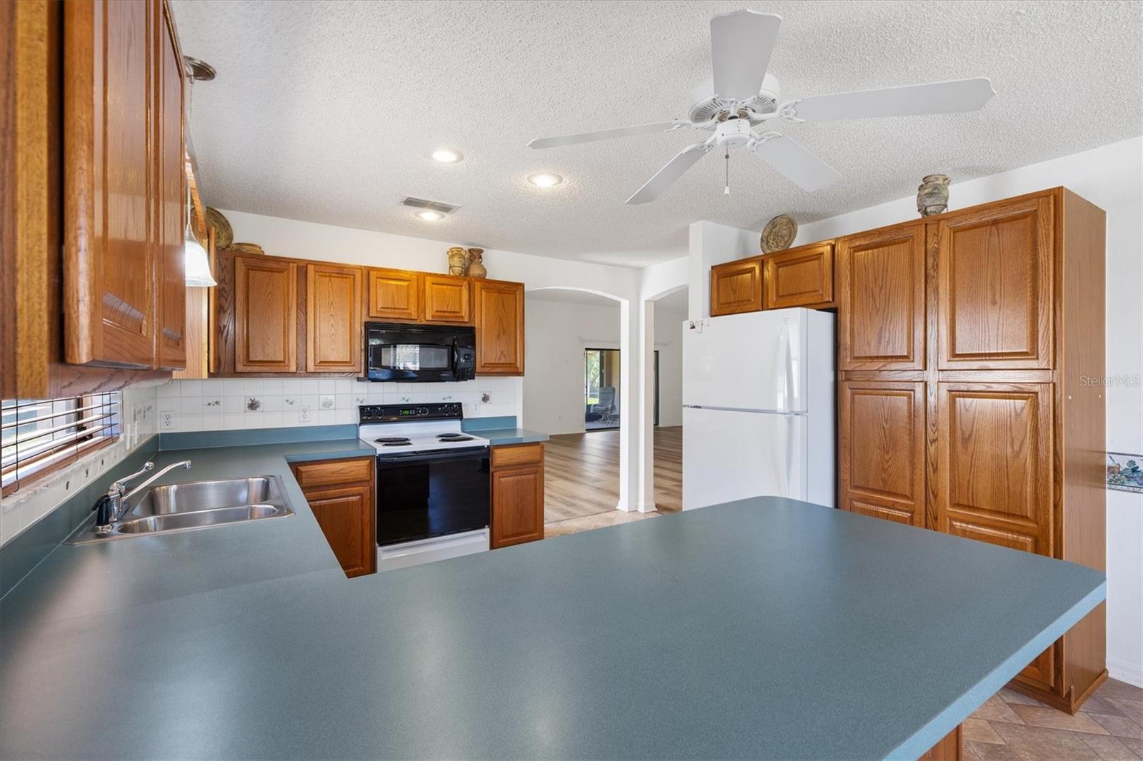 1918 ARMONDO DR, THE VILLAGES, FL, 32159