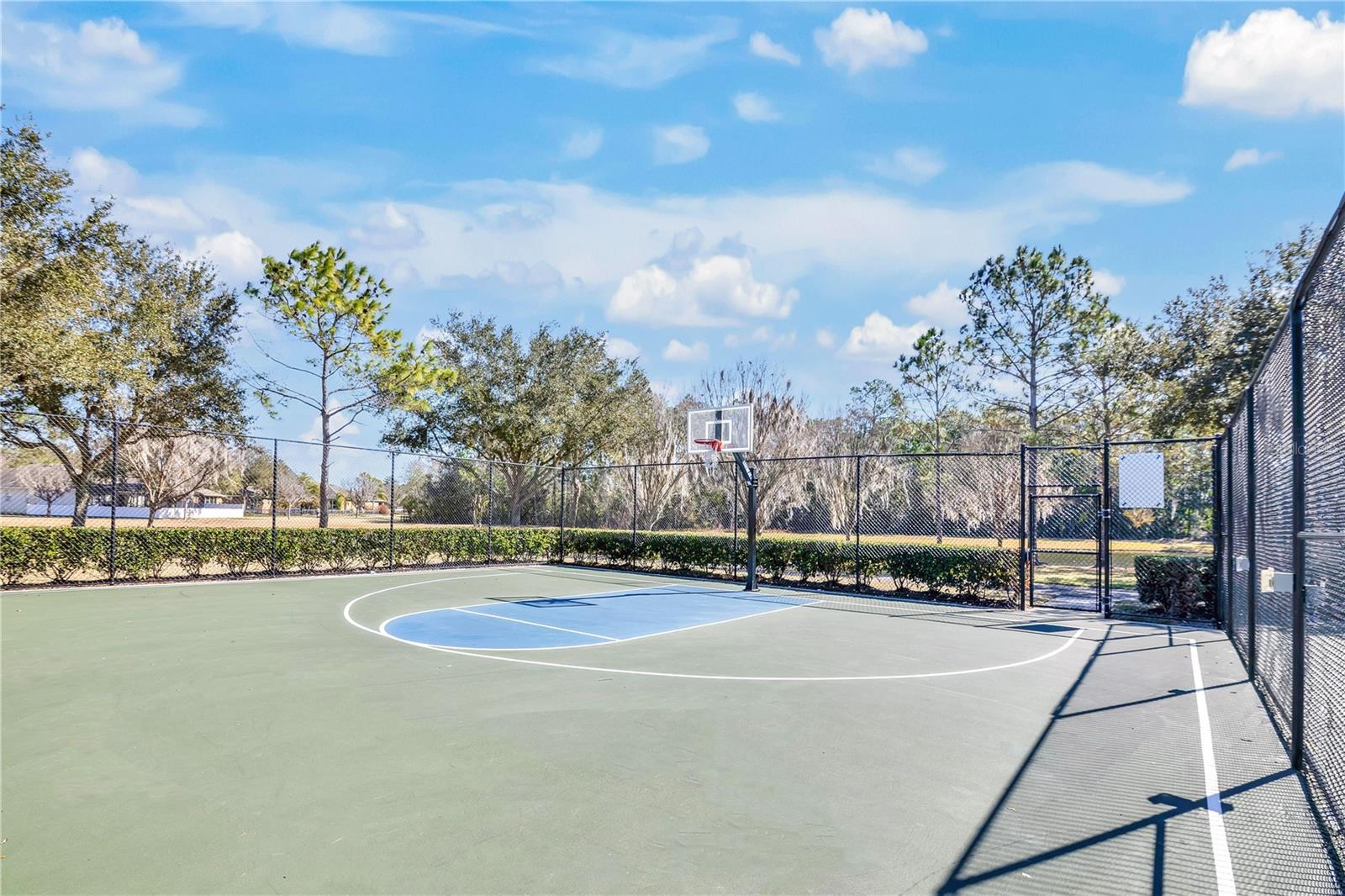 13263 STRODE LN, WINDERMERE, FL, 34786