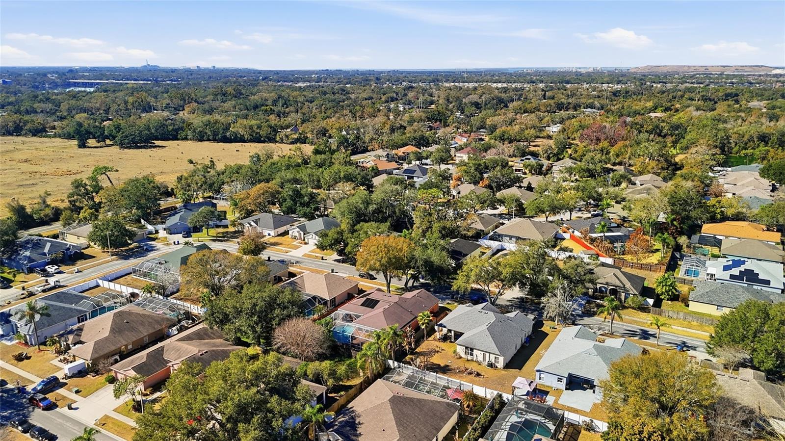 10455 ASHLEY OAKS DR, RIVERVIEW, FL, 33578