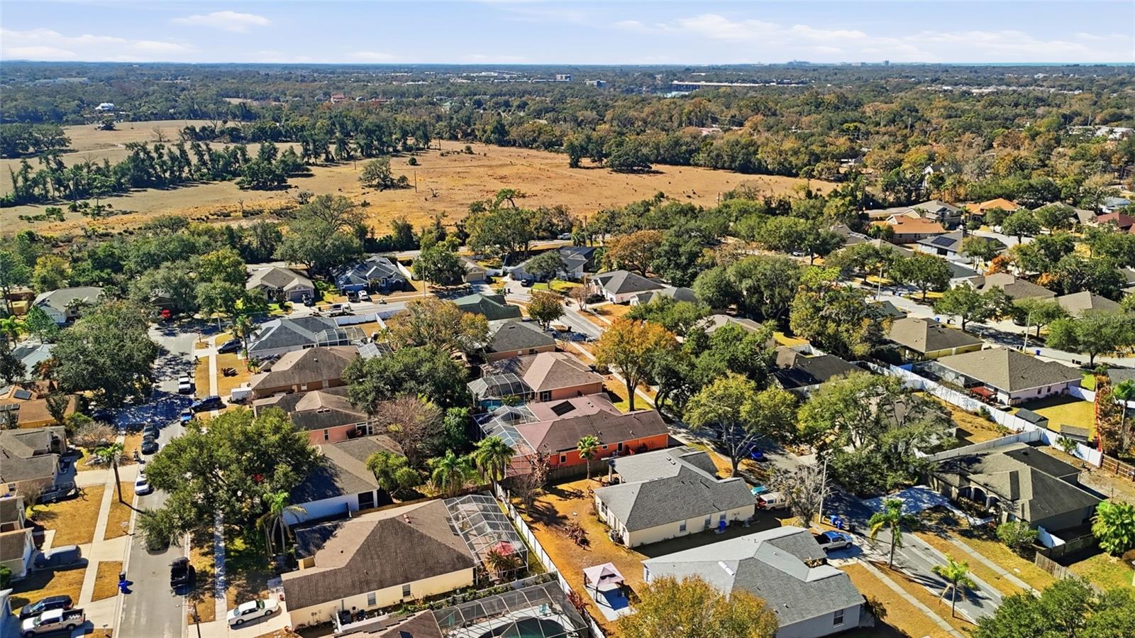 10455 ASHLEY OAKS DR, RIVERVIEW, FL, 33578