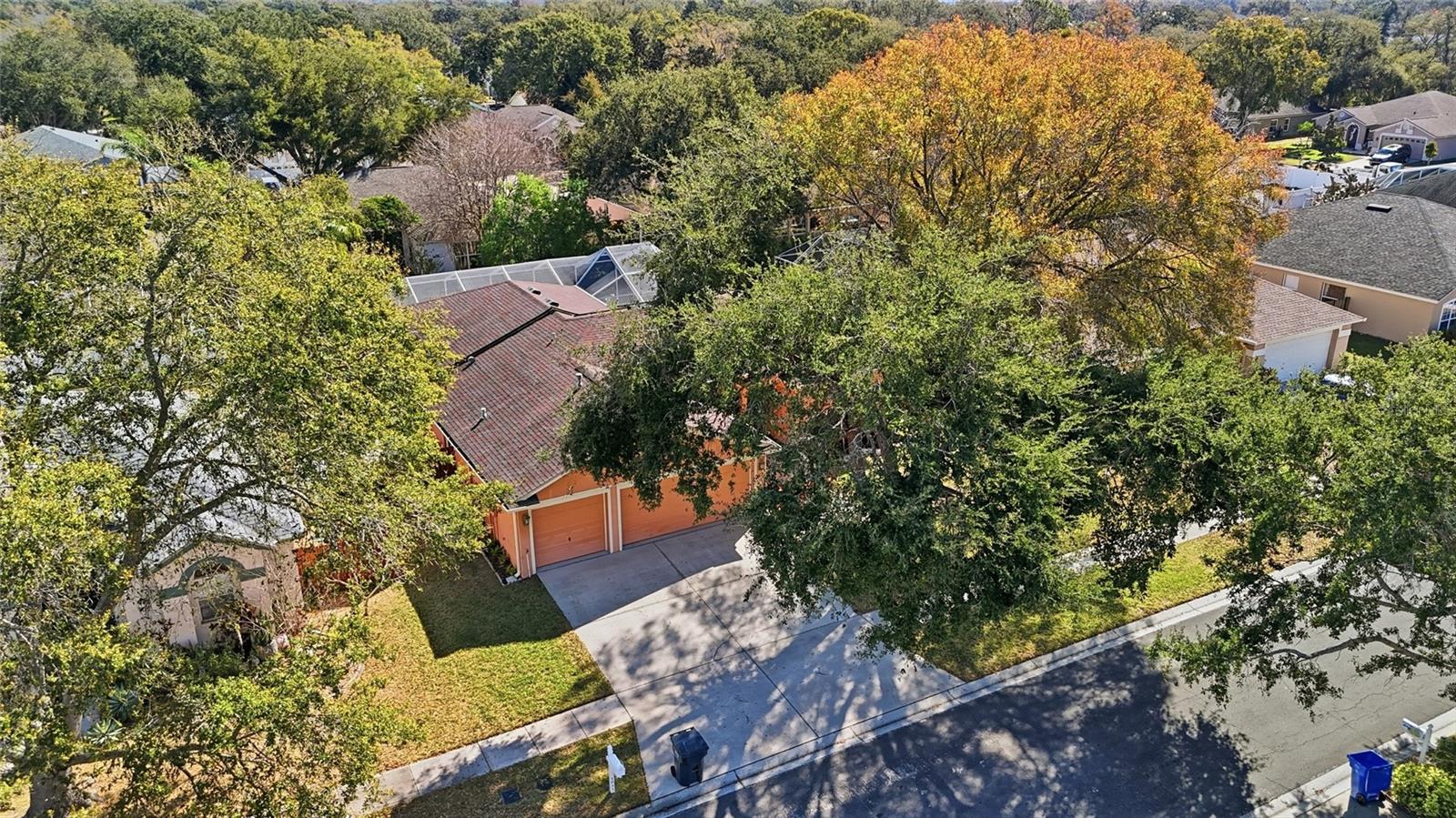 10455 ASHLEY OAKS DR, RIVERVIEW, FL, 33578